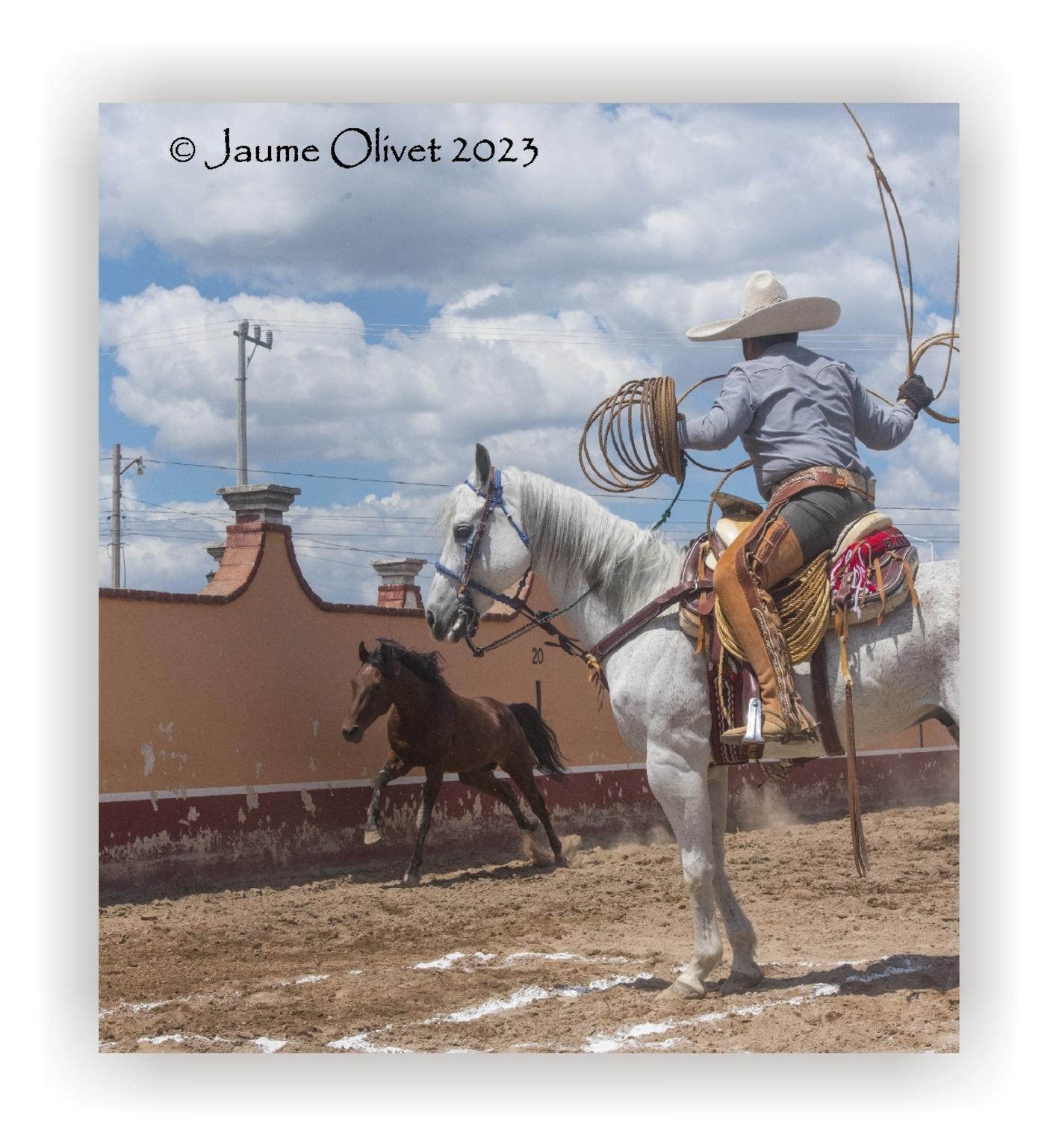  Jaume Olivet 2023