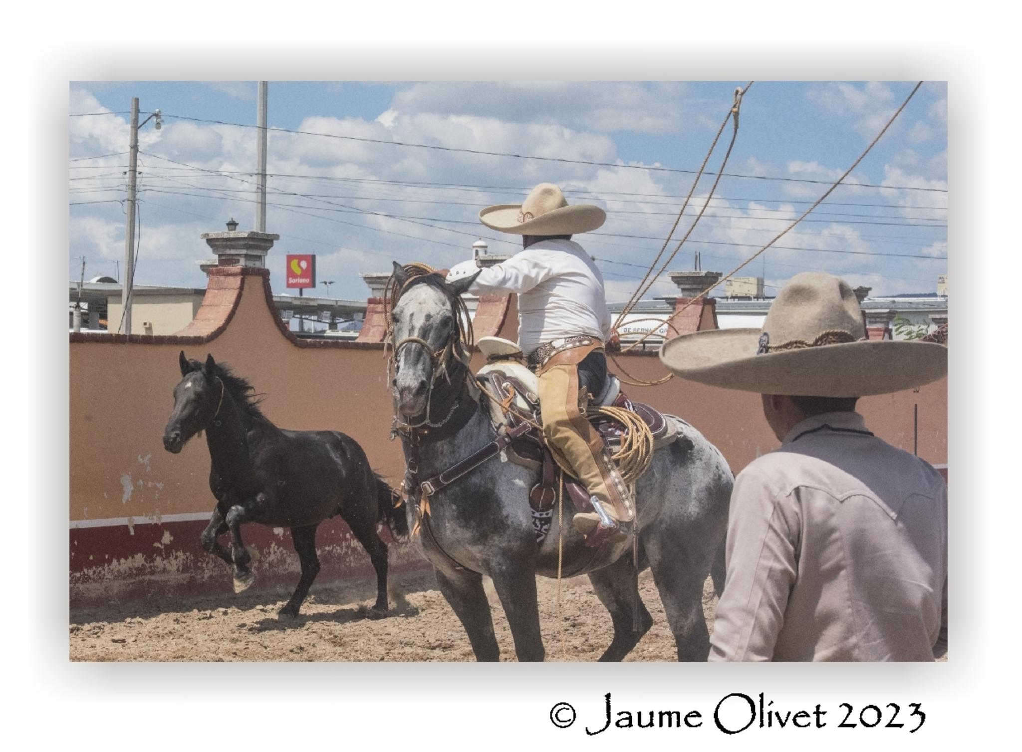  Jaume Olivet 2023