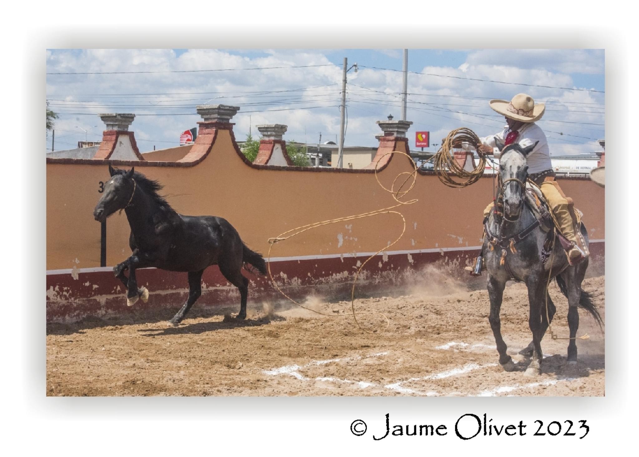  Jaume Olivet 2023