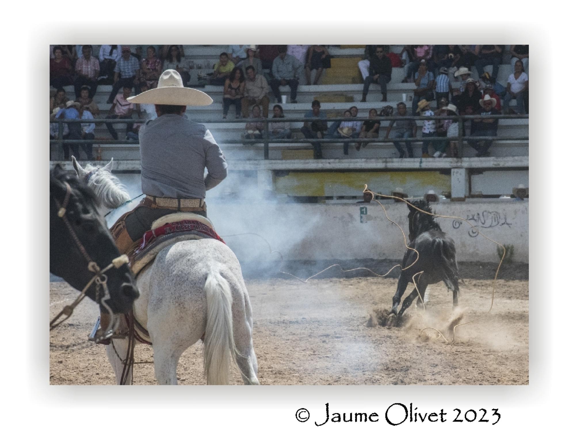  Jaume Olivet 2023