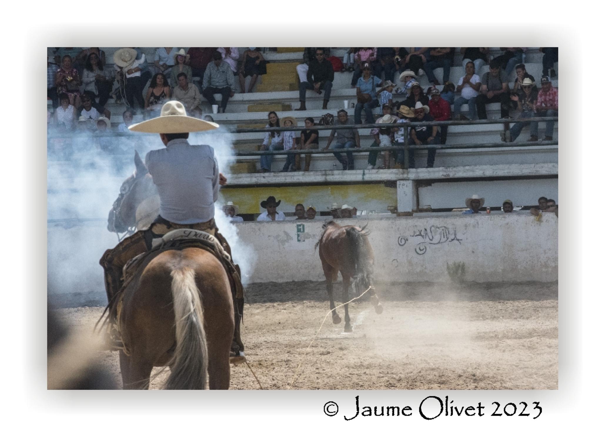  Jaume Olivet 2023
