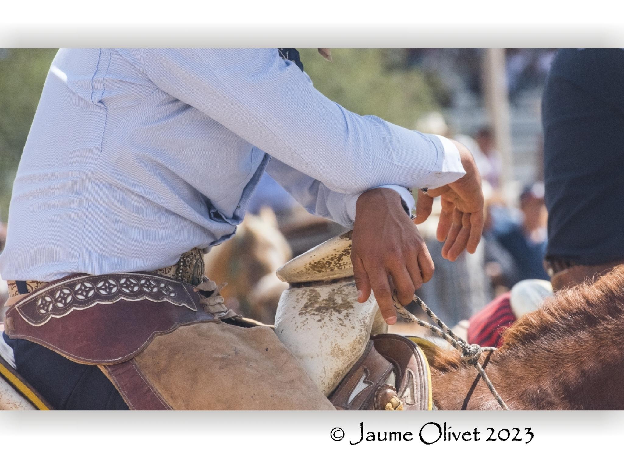  Jaume Olivet 2023