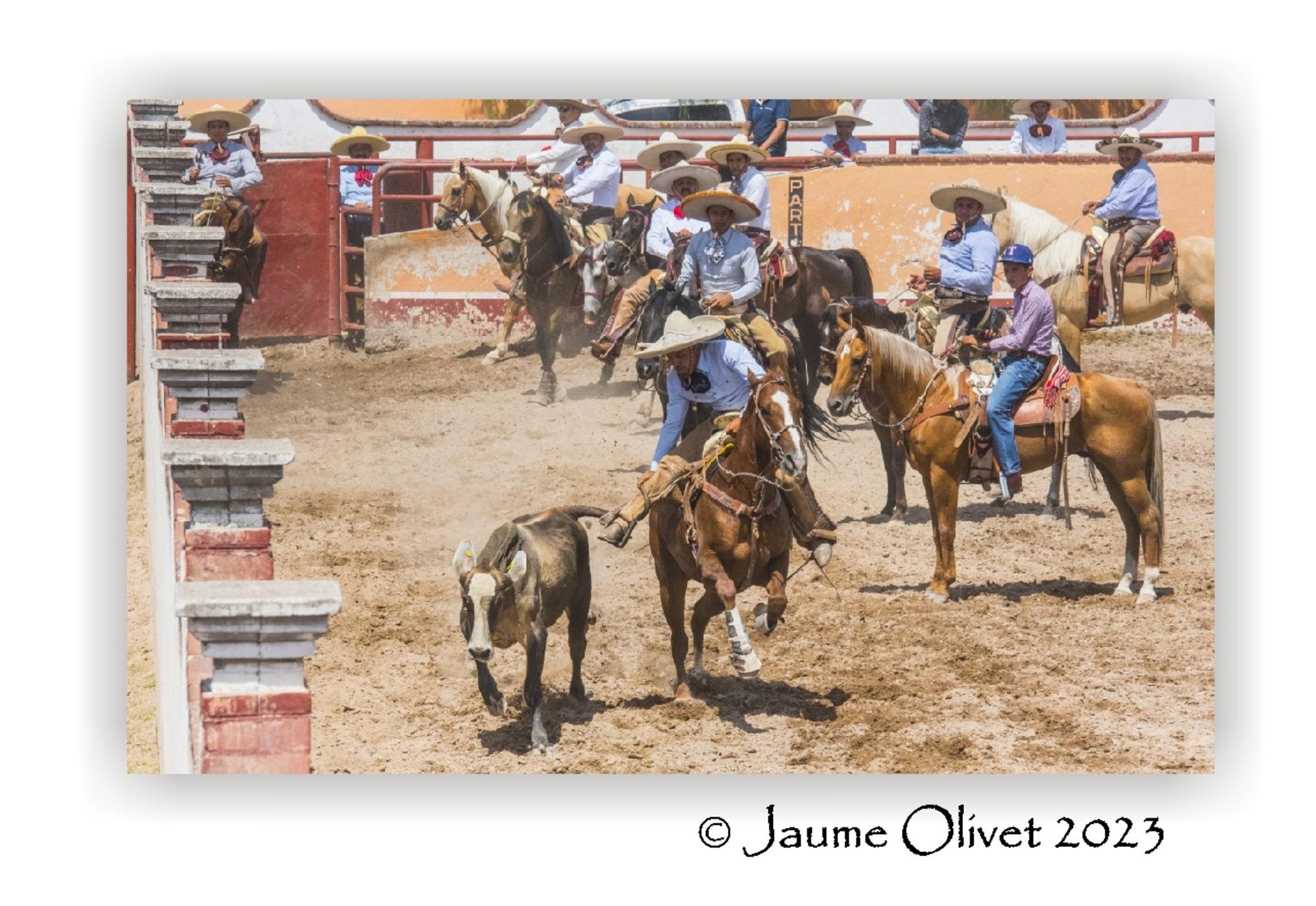  Jaume Olivet 2023