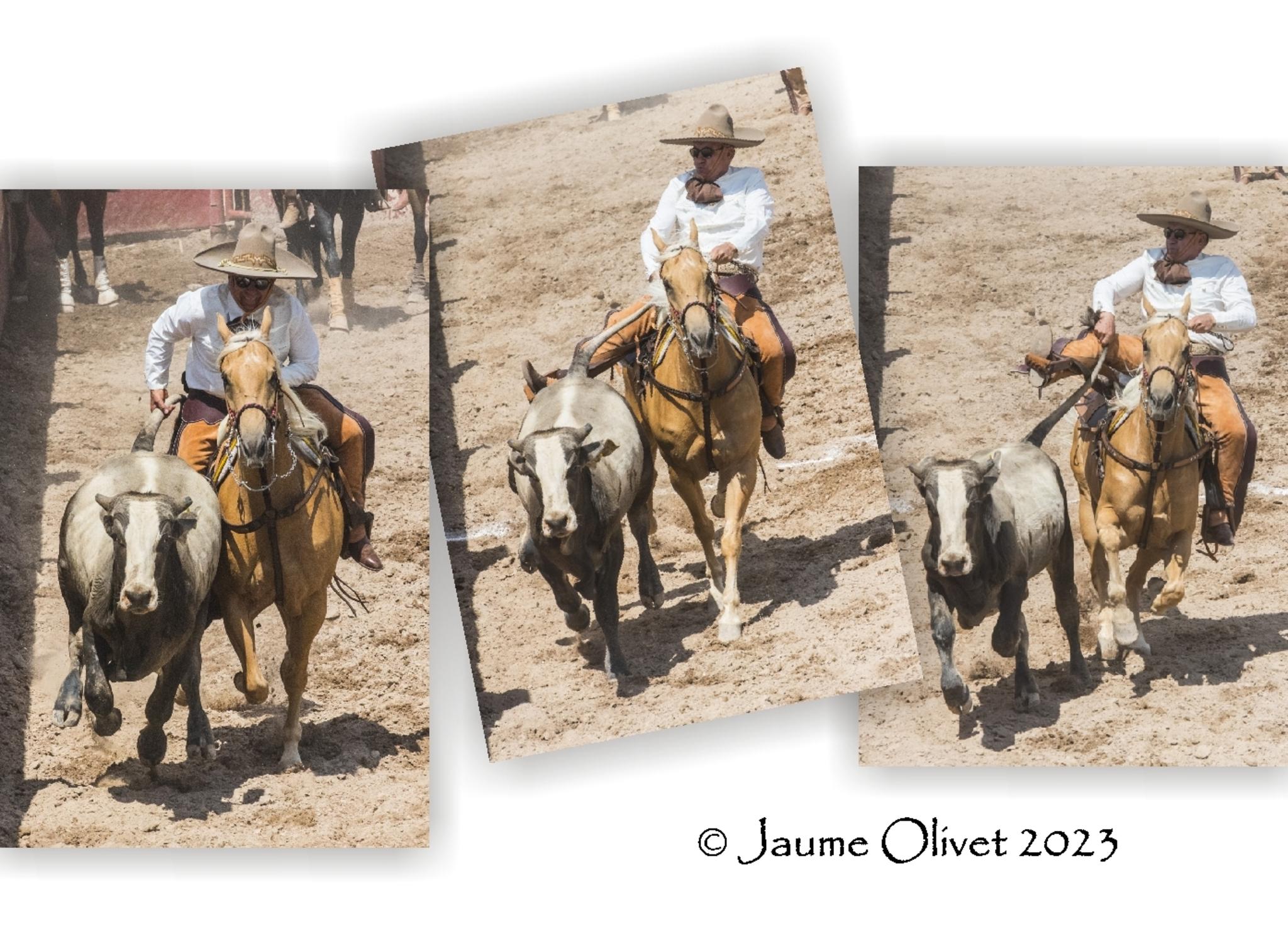  Jaume Olivet 2023