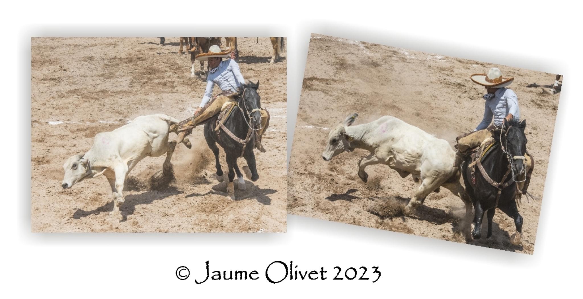 Jaume Olivet 2023