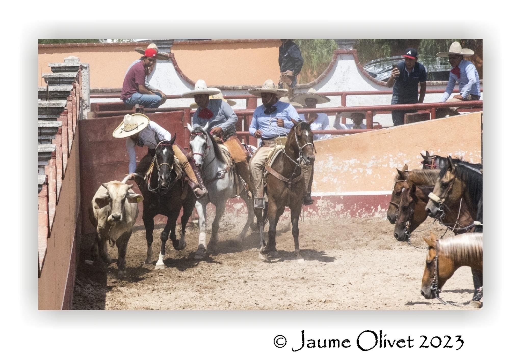  Jaume Olivet 2023