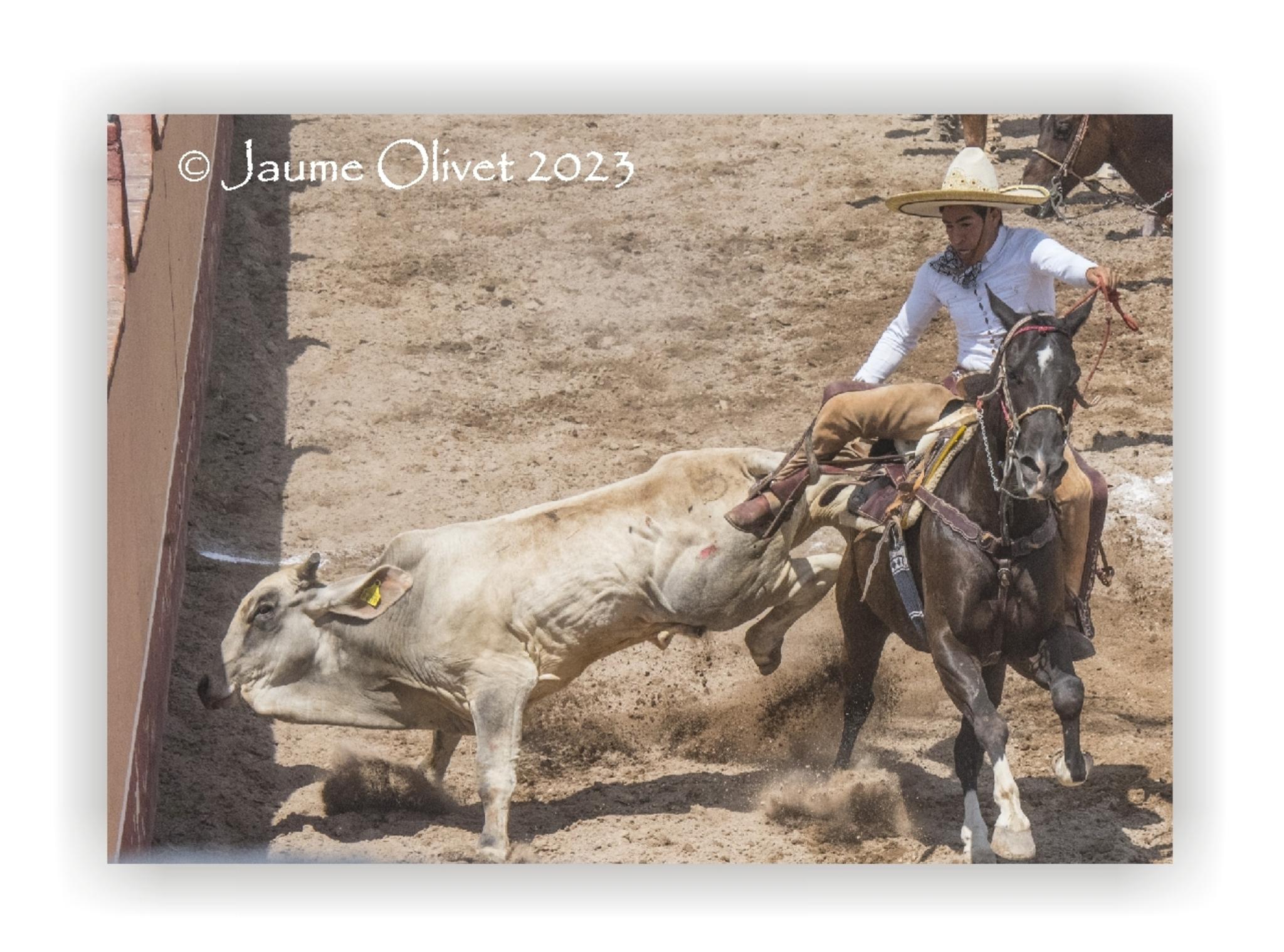  Jaume Olivet 2023