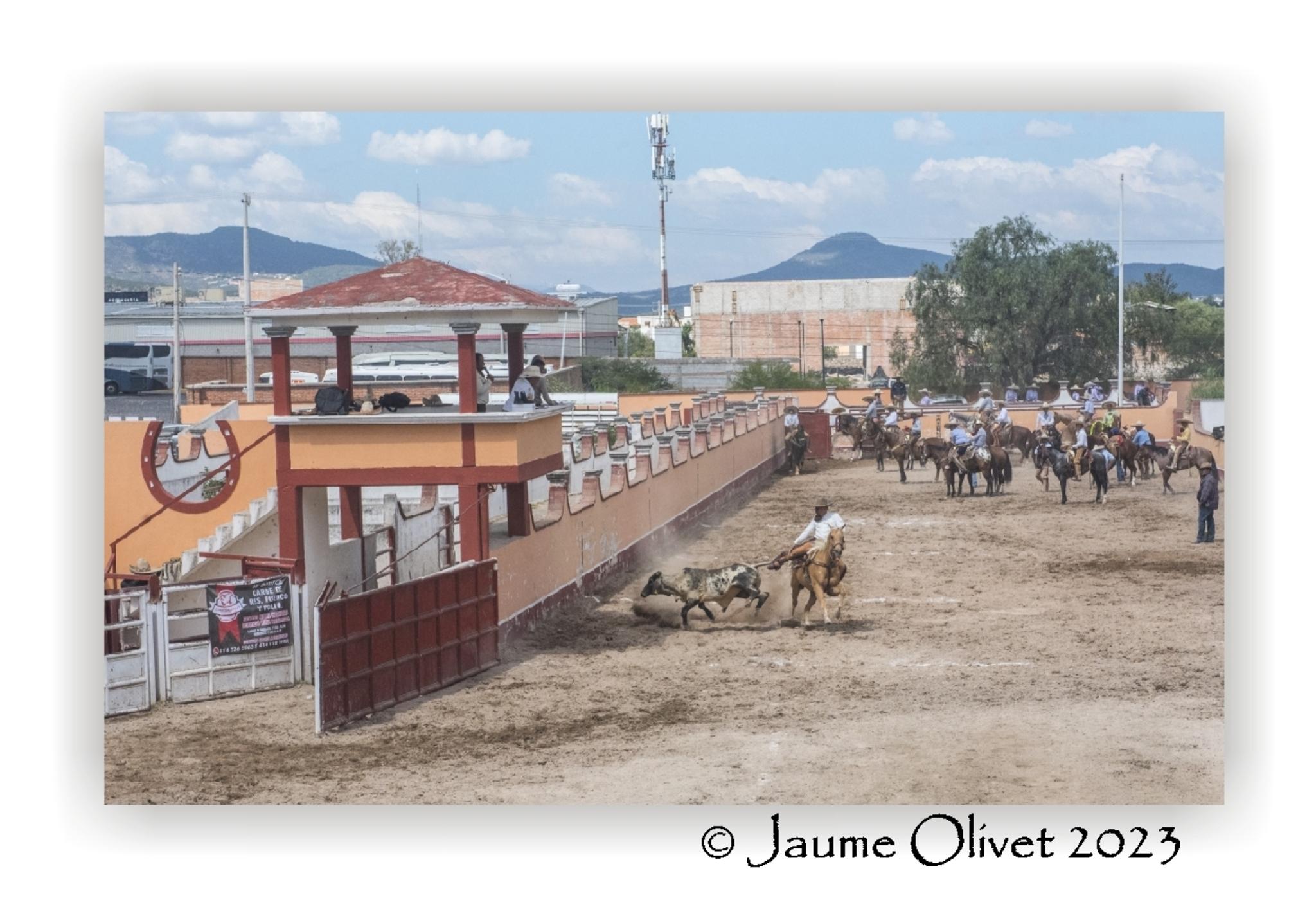  Jaume Olivet 2023