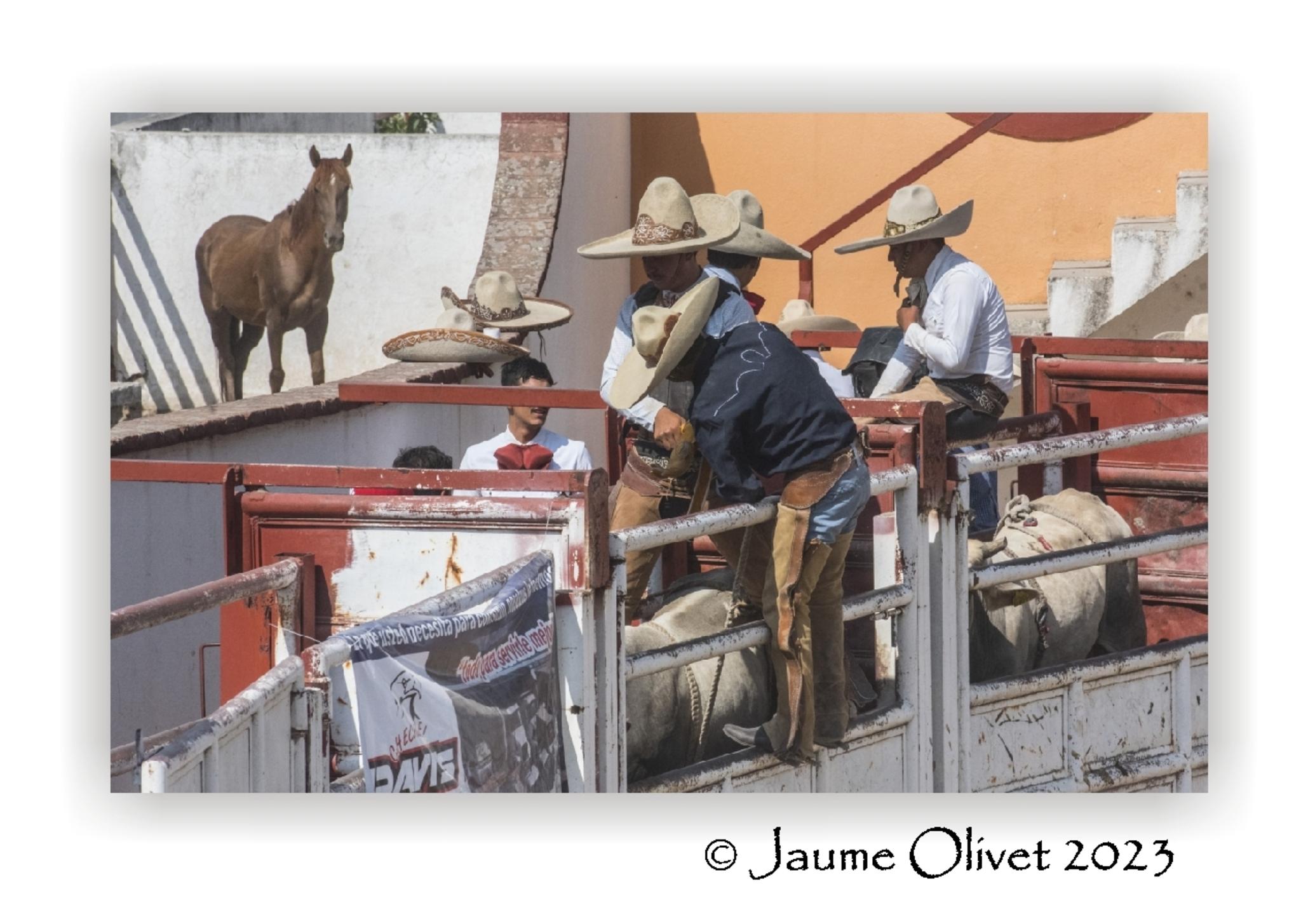  Jaume Olivet 2023