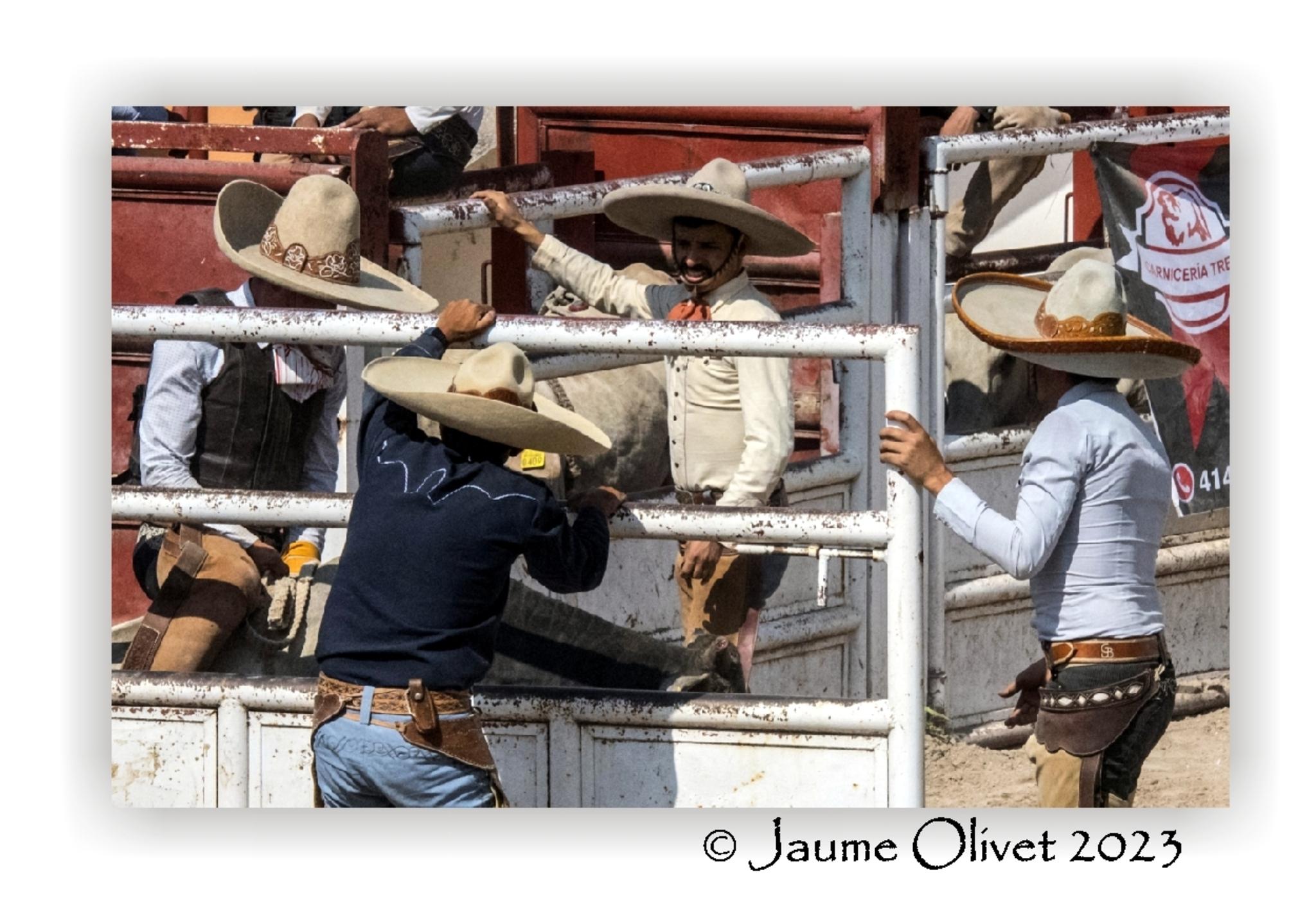  Jaume Olivet 2023