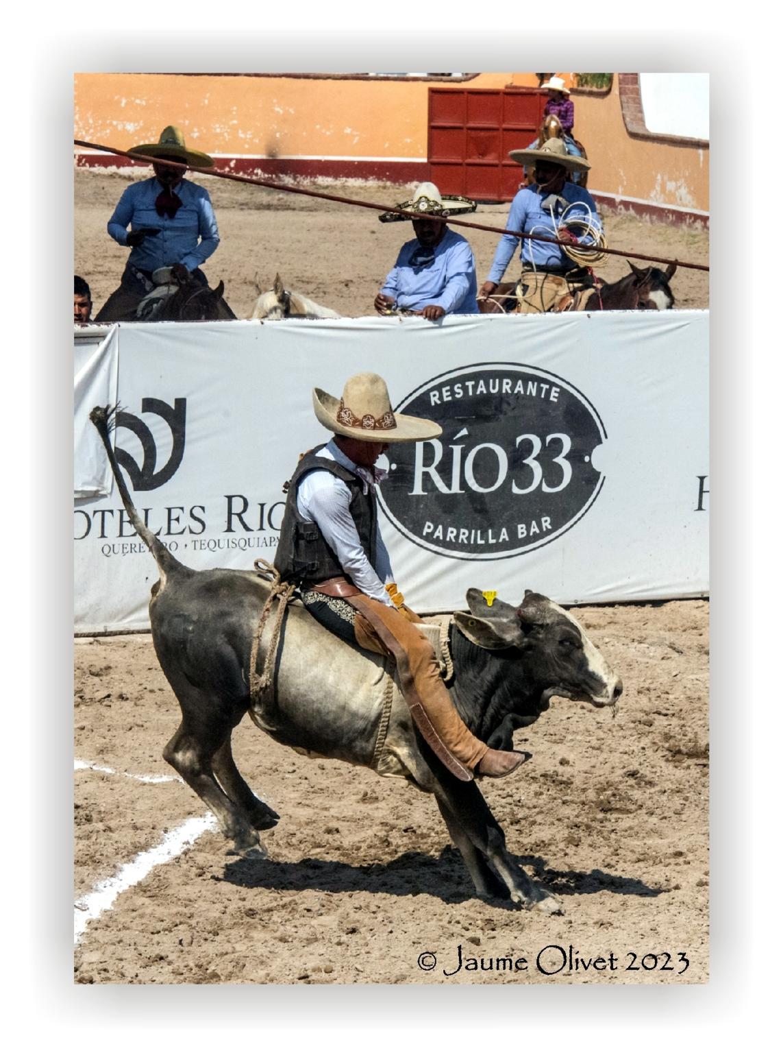  Jaume Olivet 2023