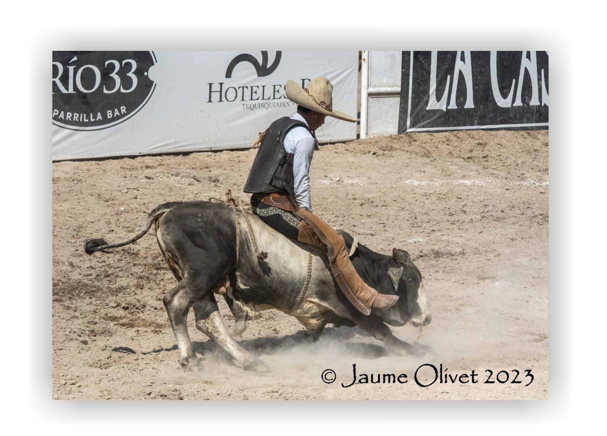  Jaume Olivet 2023