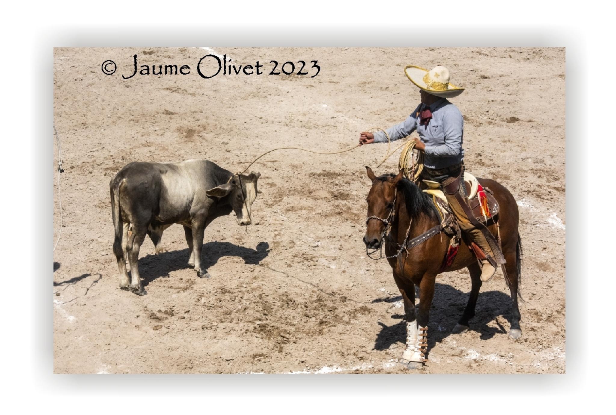  Jaume Olivet 2023