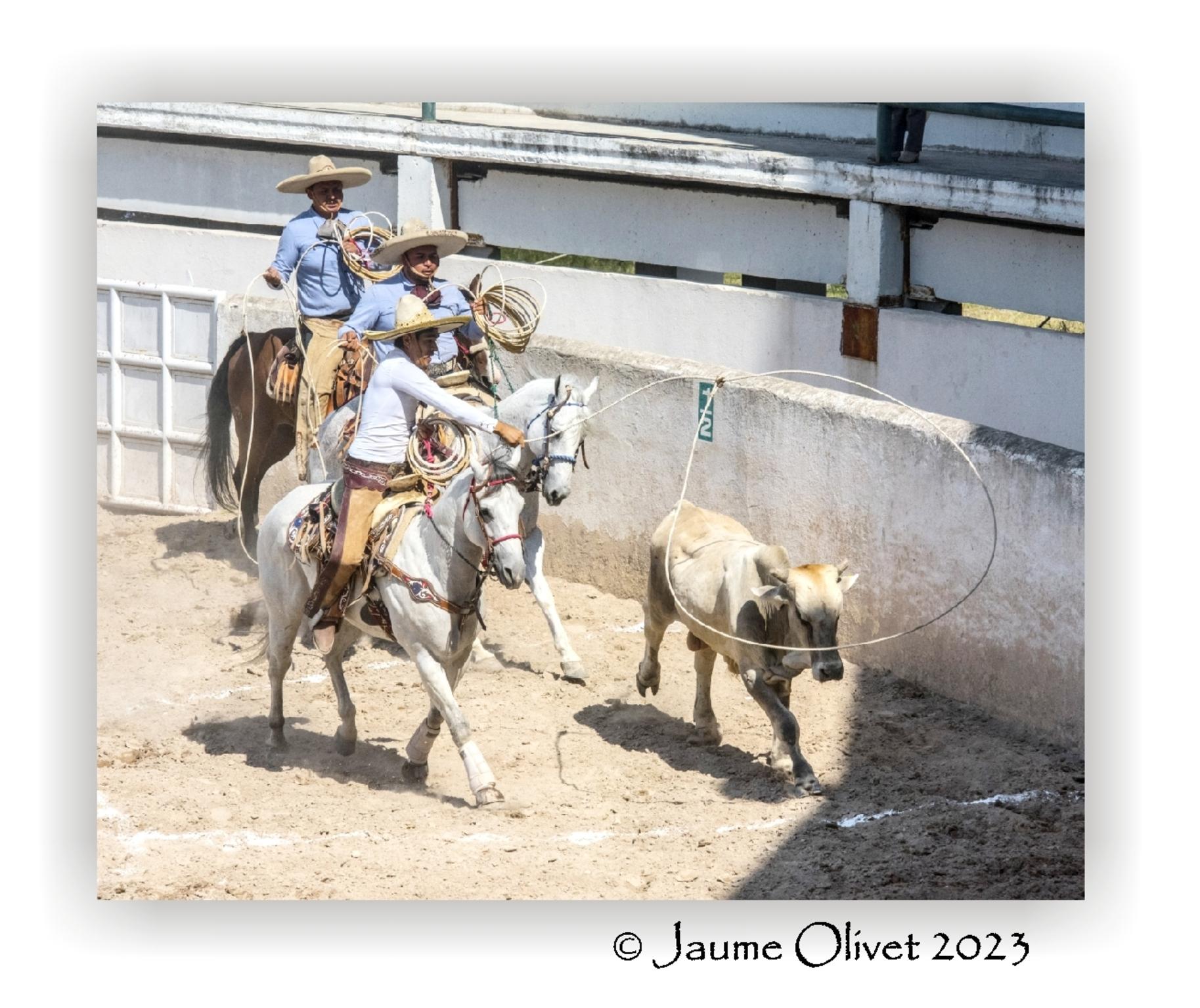  Jaume Olivet 2023
