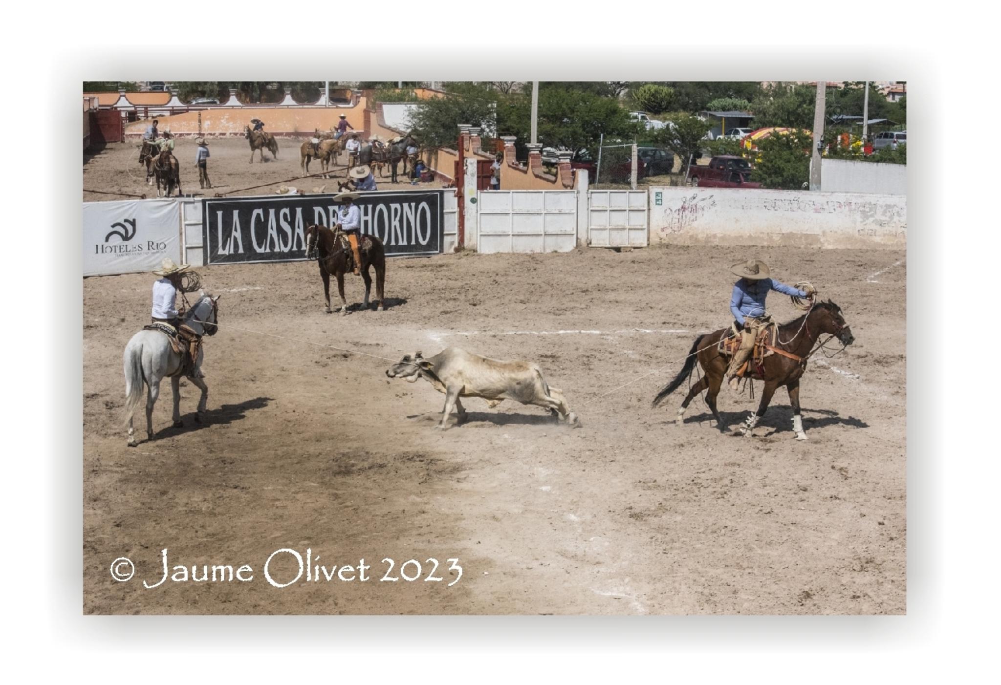  Jaume Olivet 2023