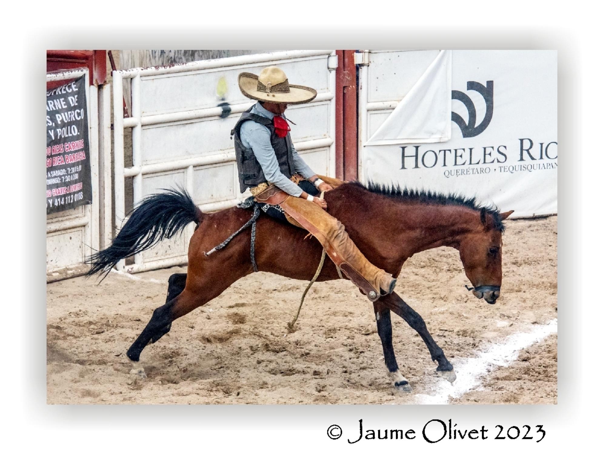  Jaume Olivet 2023