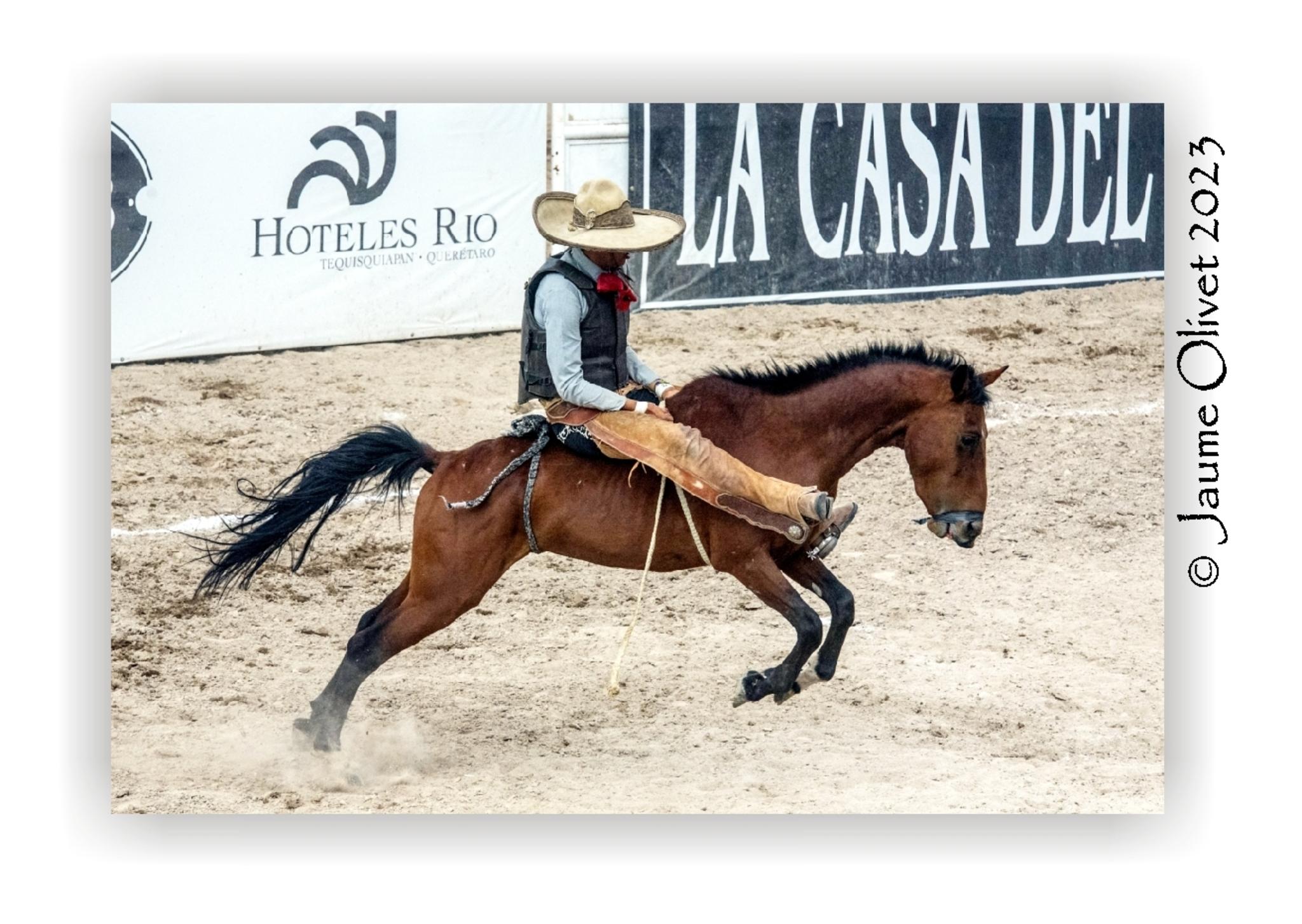  Jaume Olivet 2023