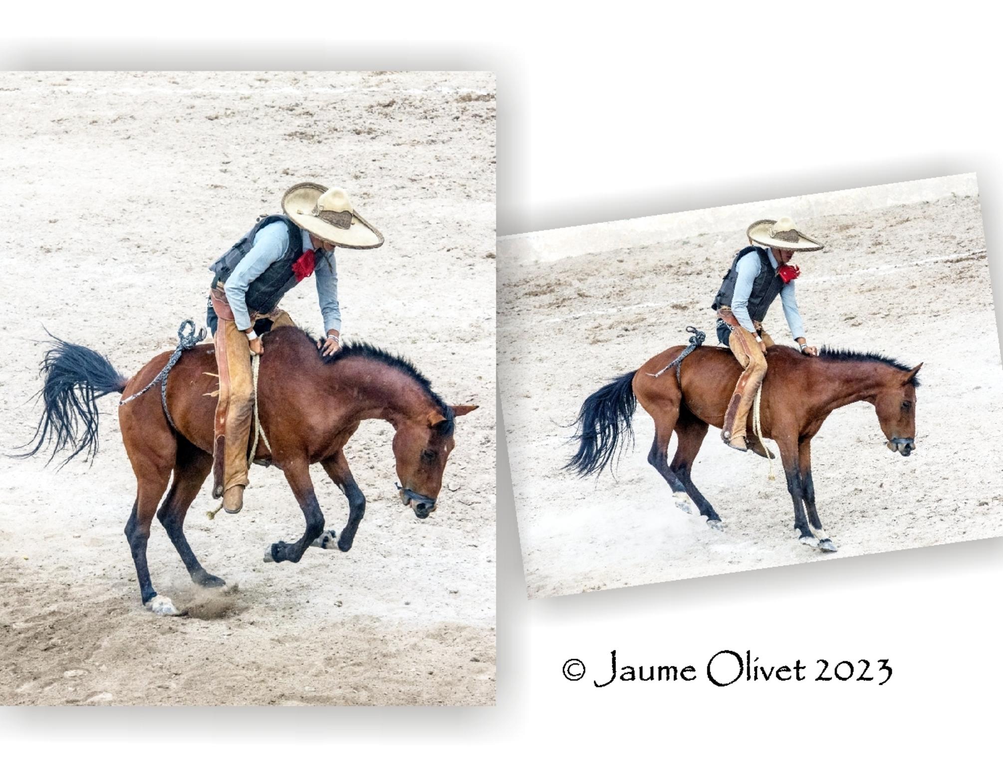  Jaume Olivet 2023