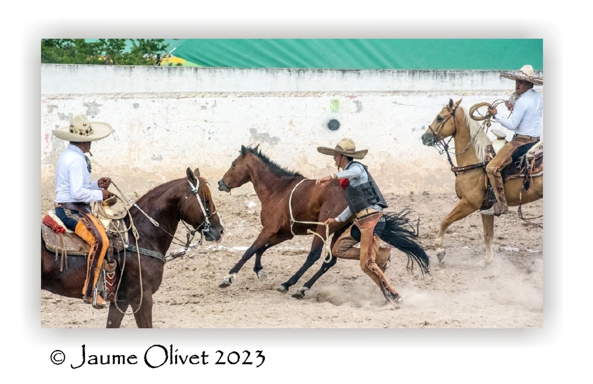  Jaume Olivet 2023
