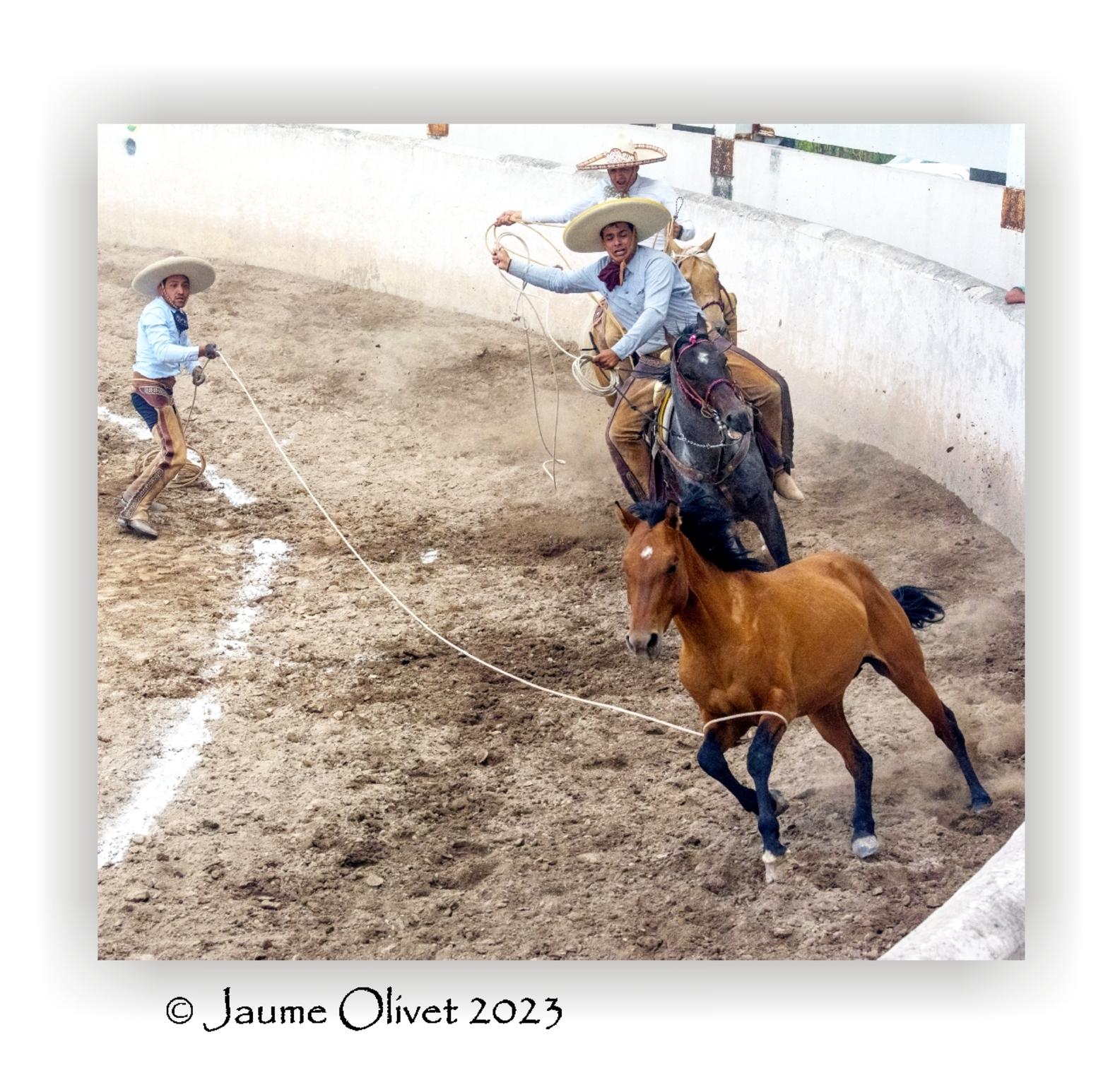  Jaume Olivet 2023