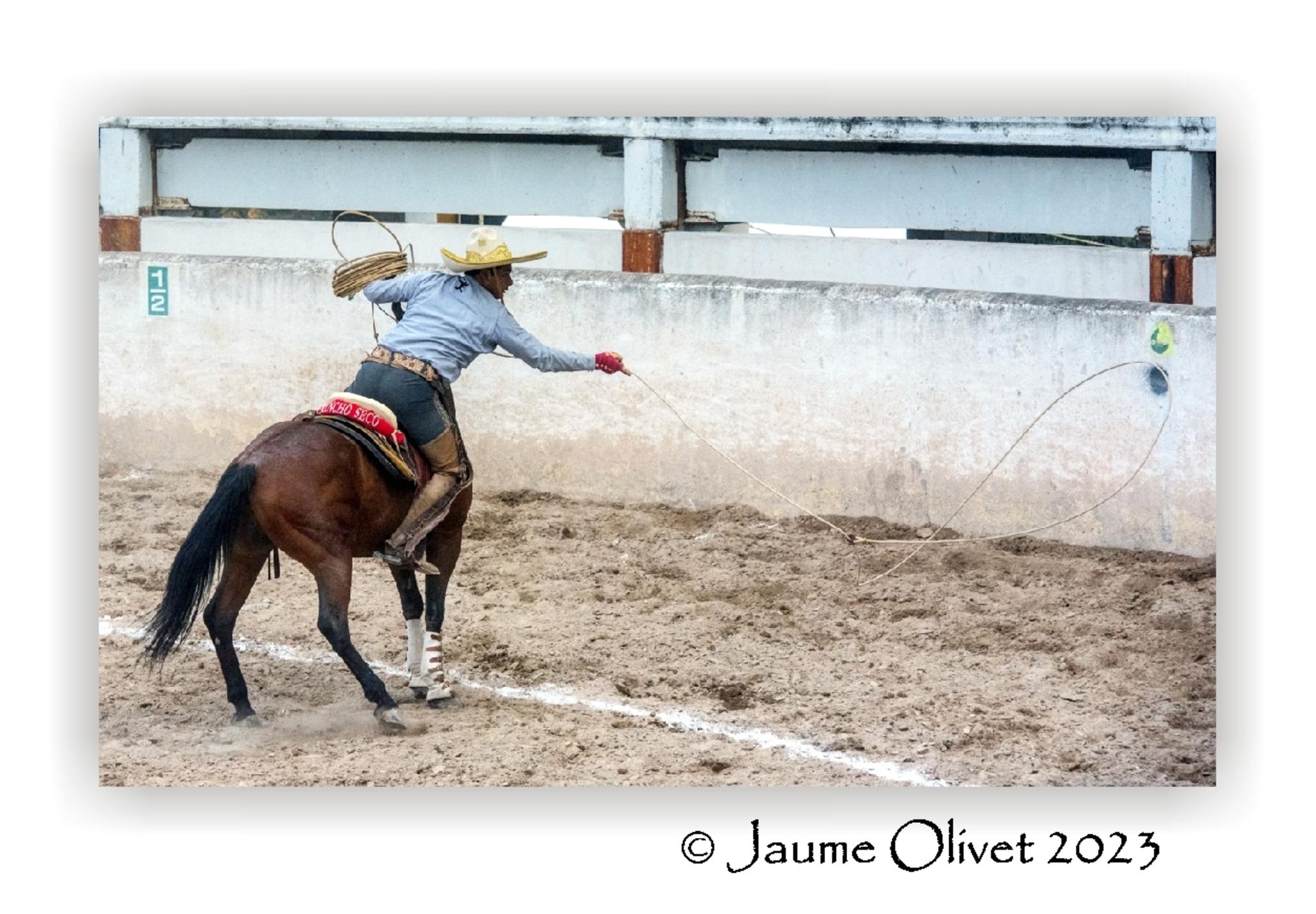  Jaume Olivet 2023