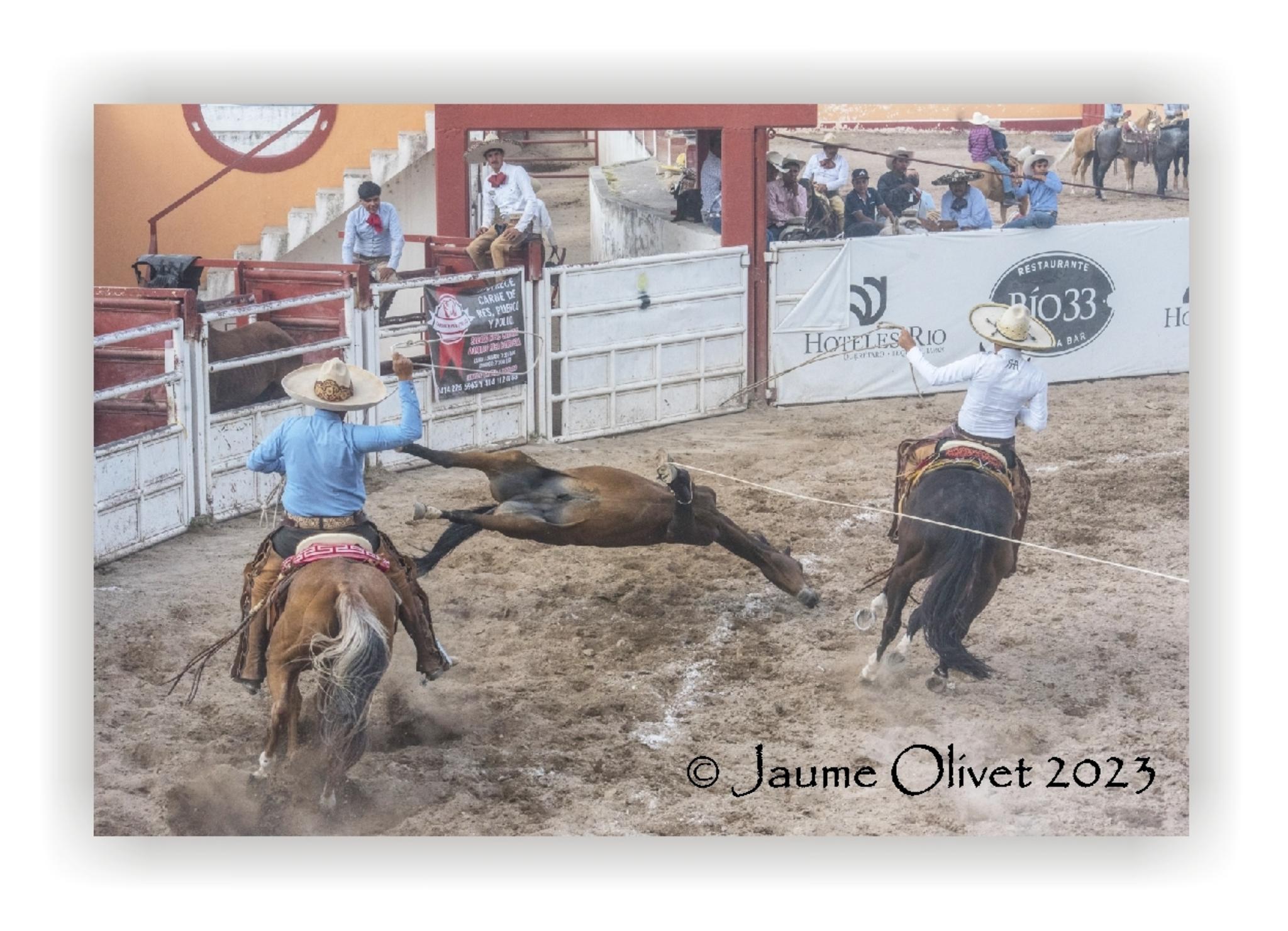  Jaume Olivet 2023