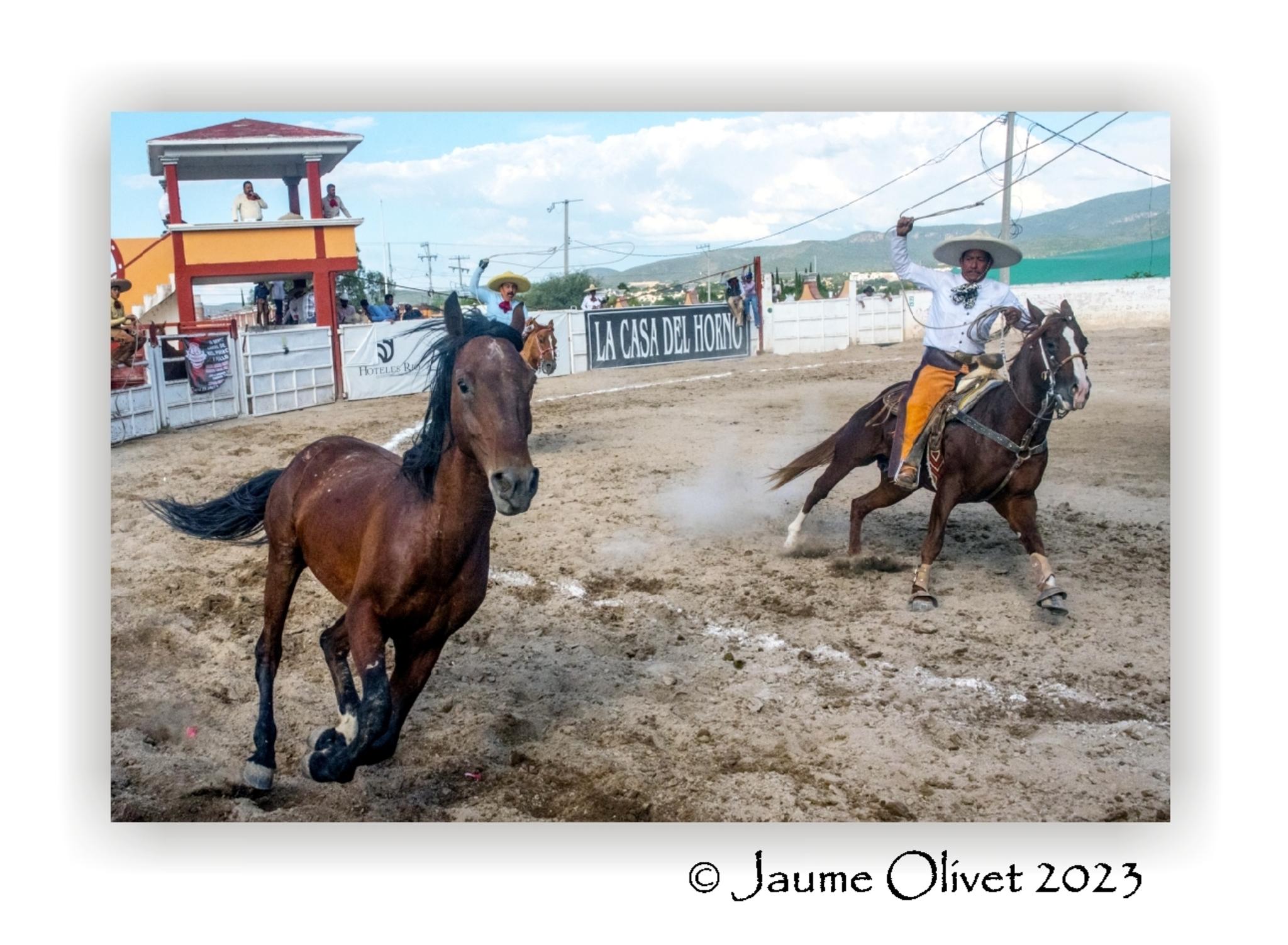  Jaume Olivet 2023