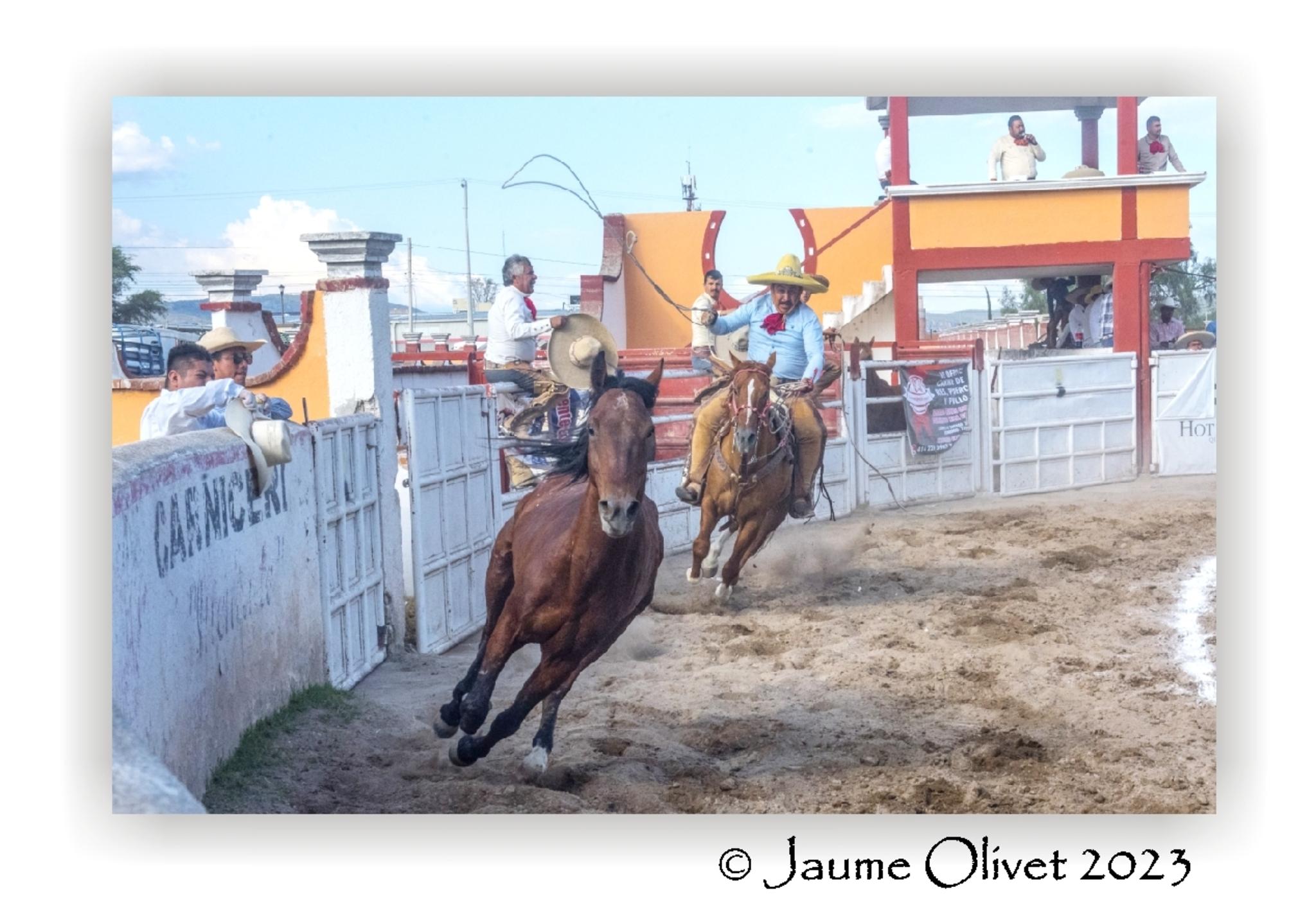  Jaume Olivet 2023