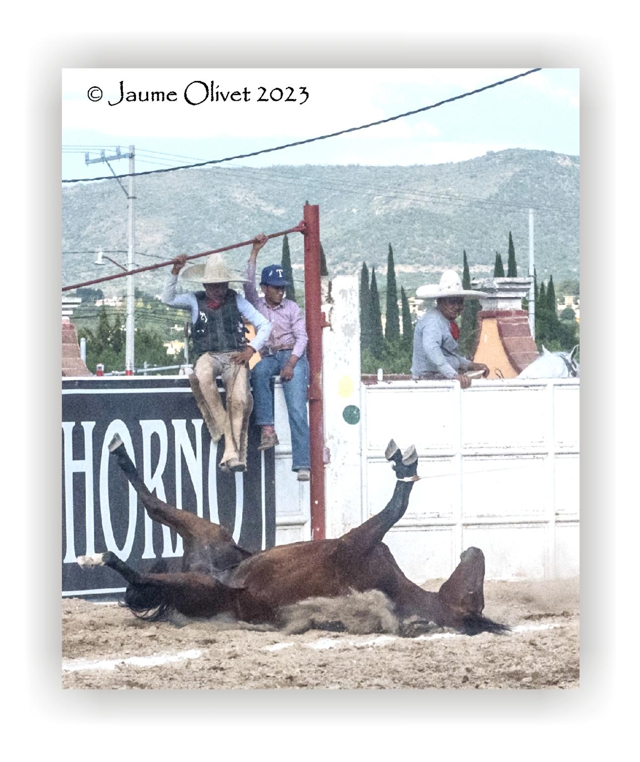  Jaume Olivet 2023