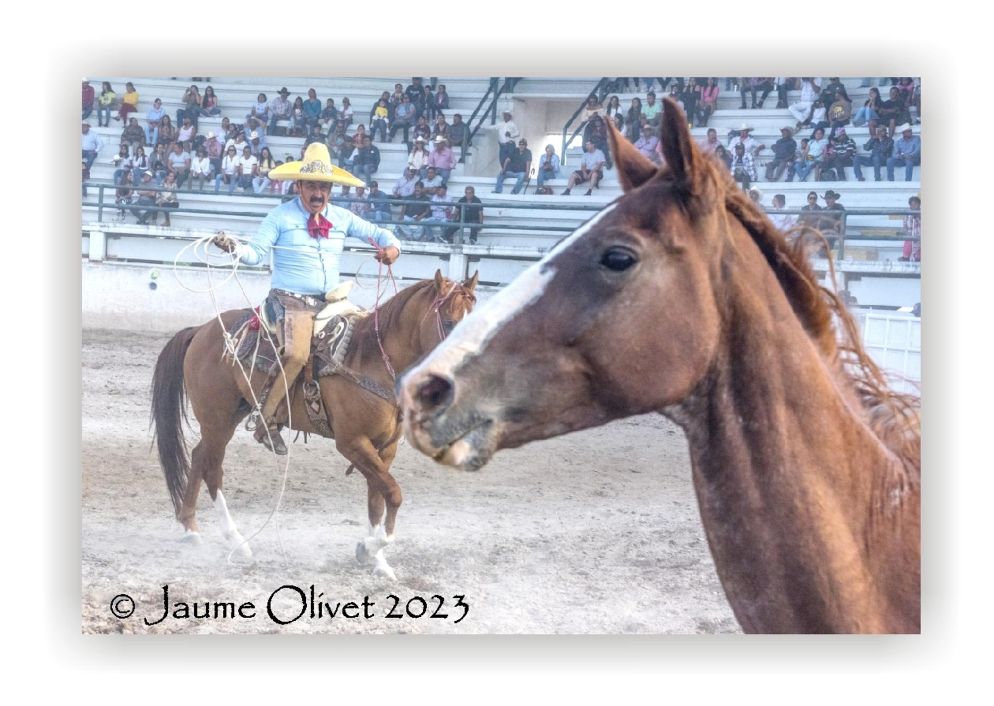 Jaume Olivet 2023