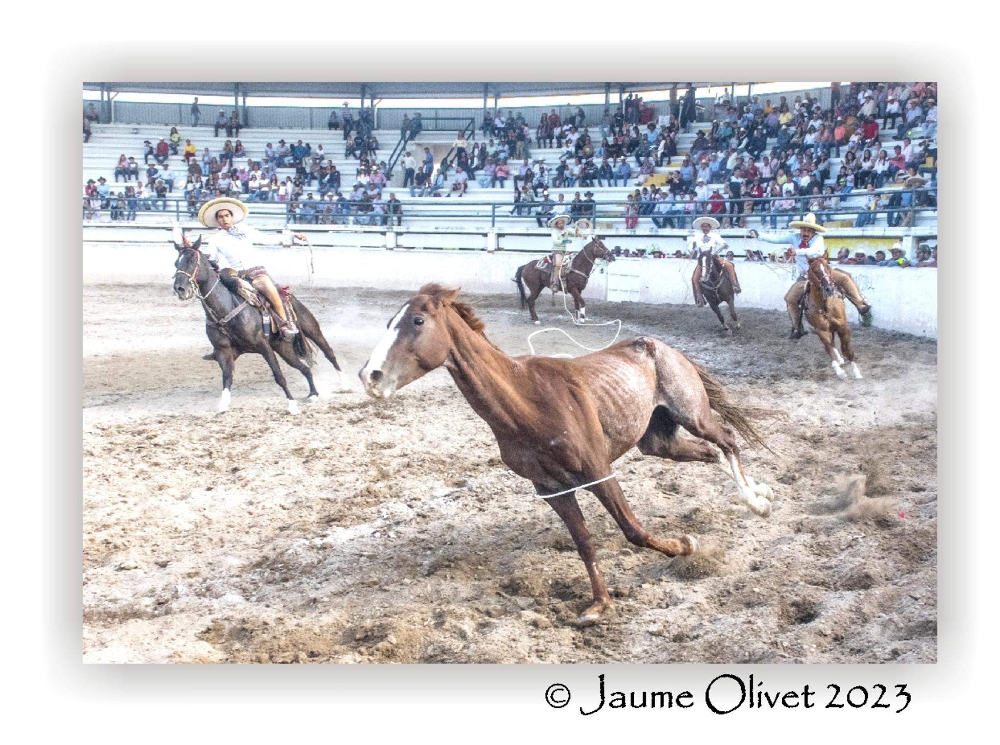  Jaume Olivet 2023