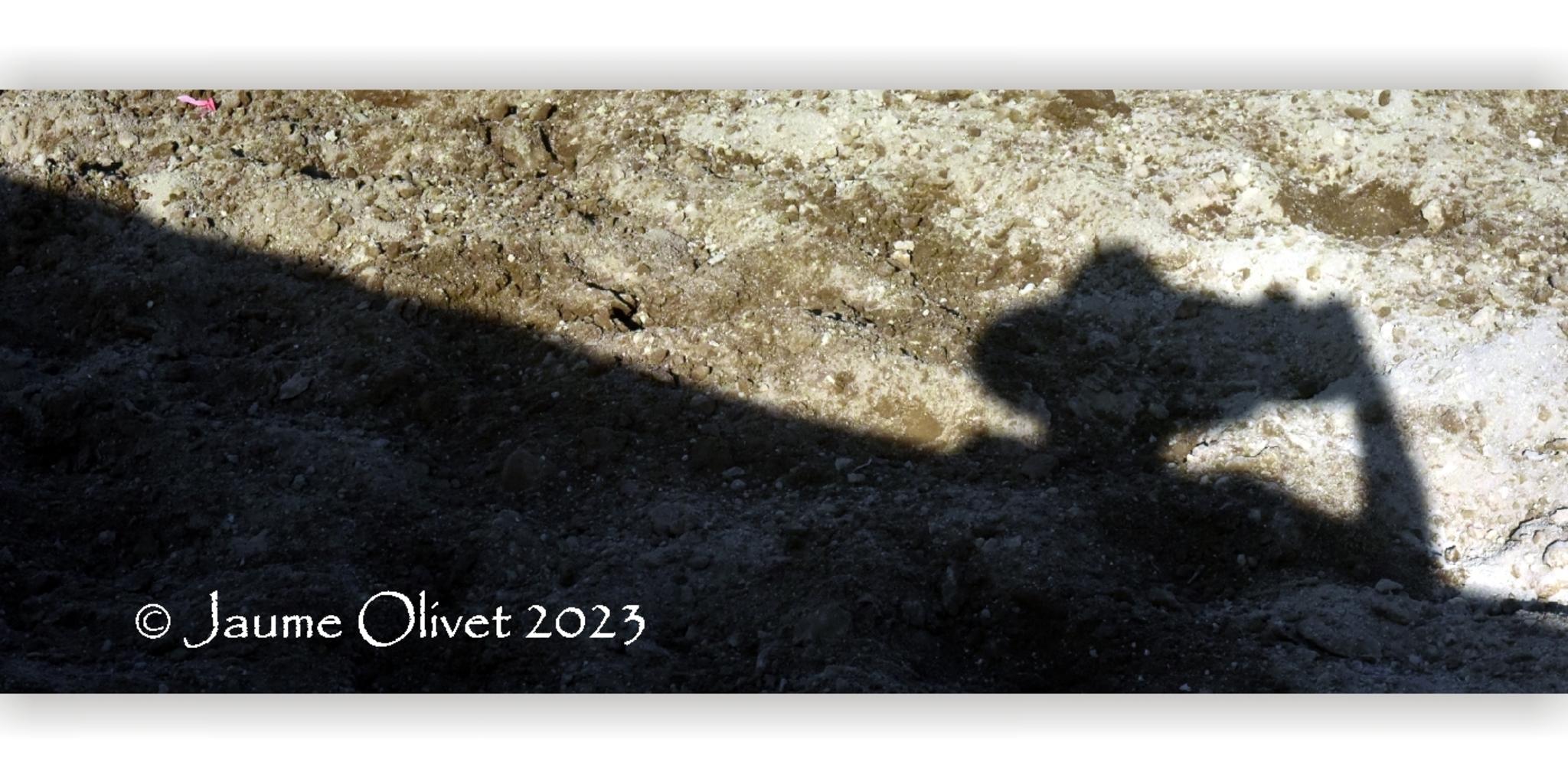  Jaume Olivet 2023
