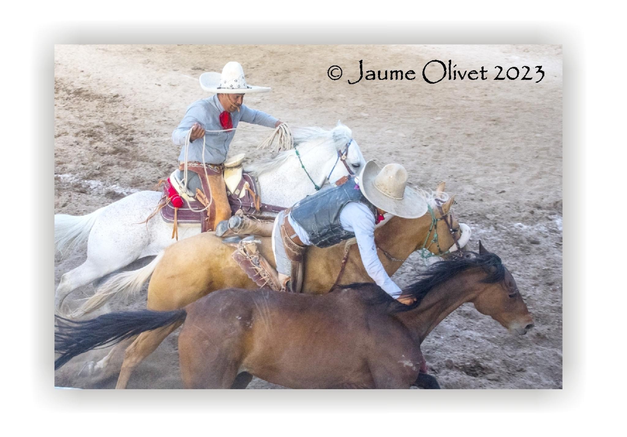  Jaume Olivet 2023