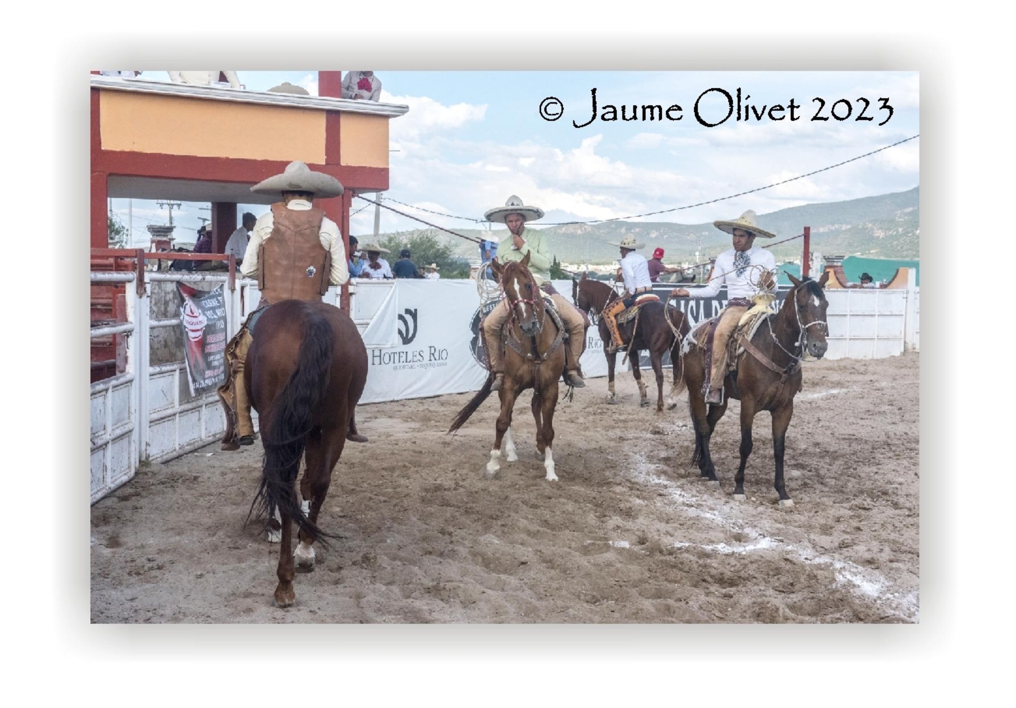  Jaume Olivet 2023
