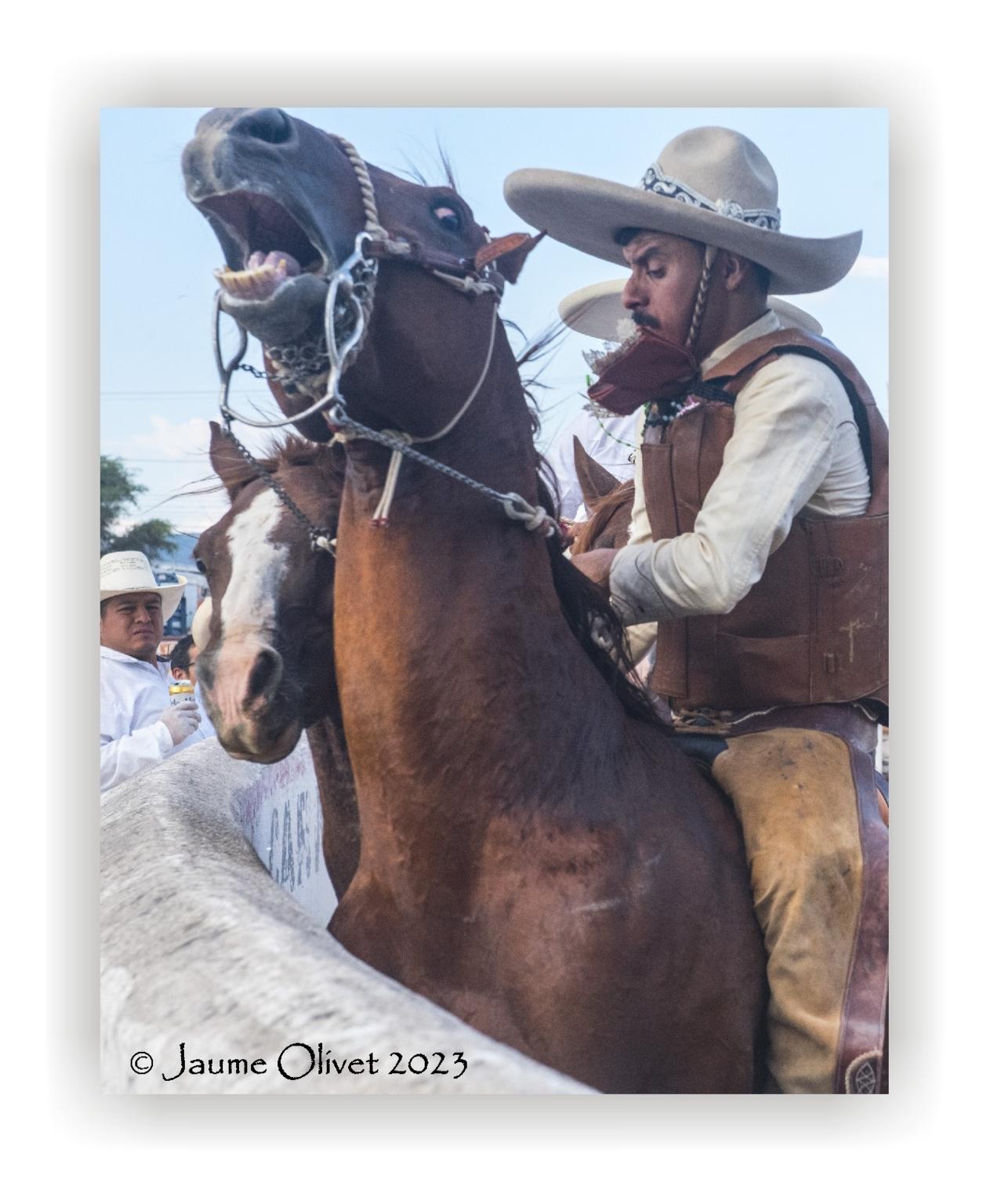  Jaume Olivet 2023