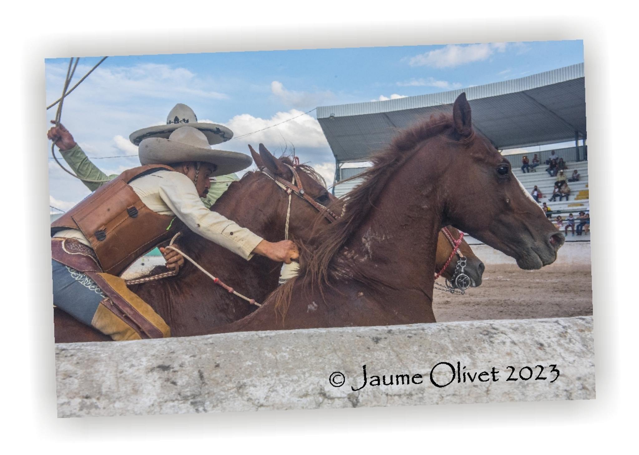  Jaume Olivet 2023