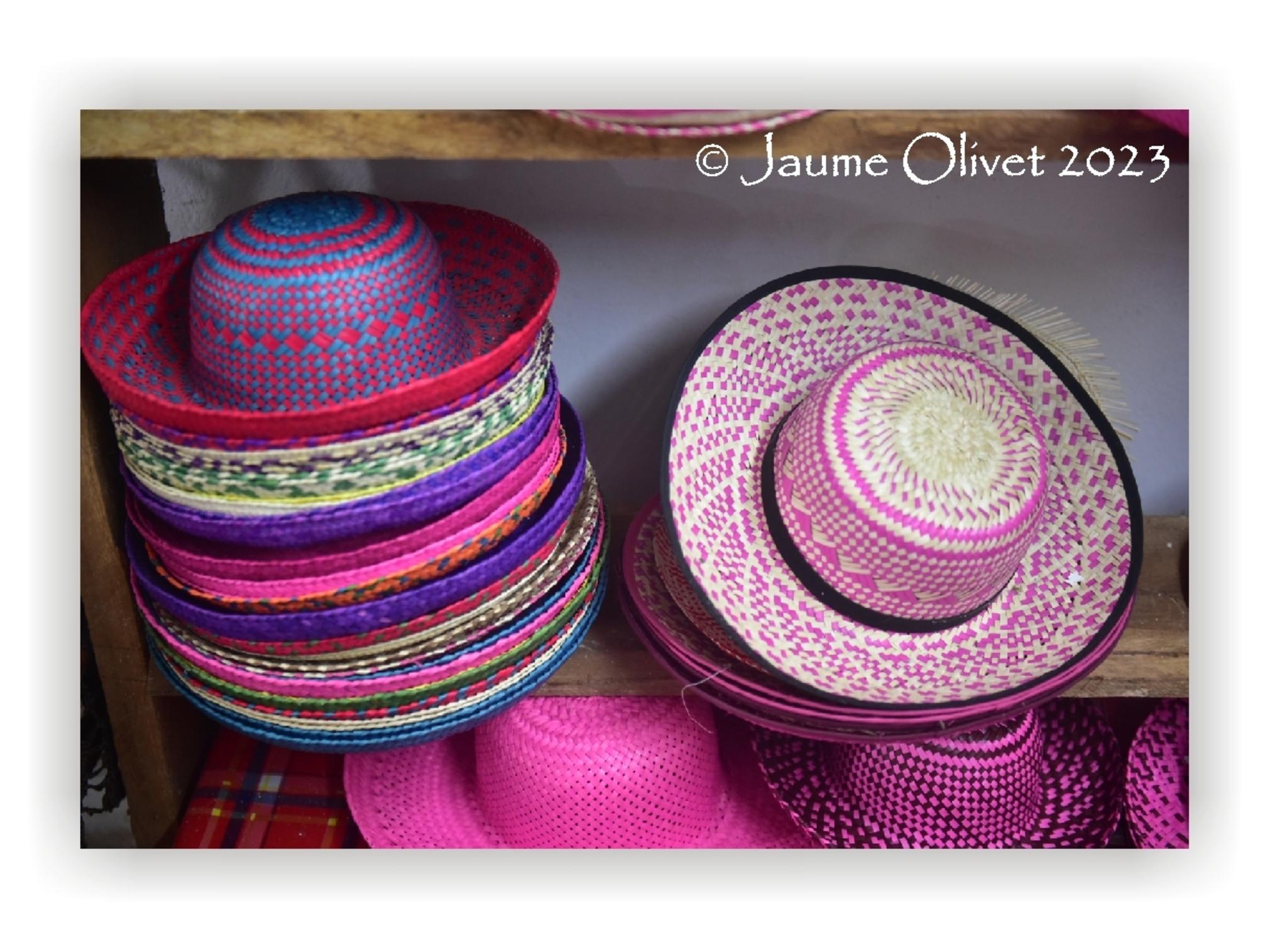  Jaume Olivet 2023
