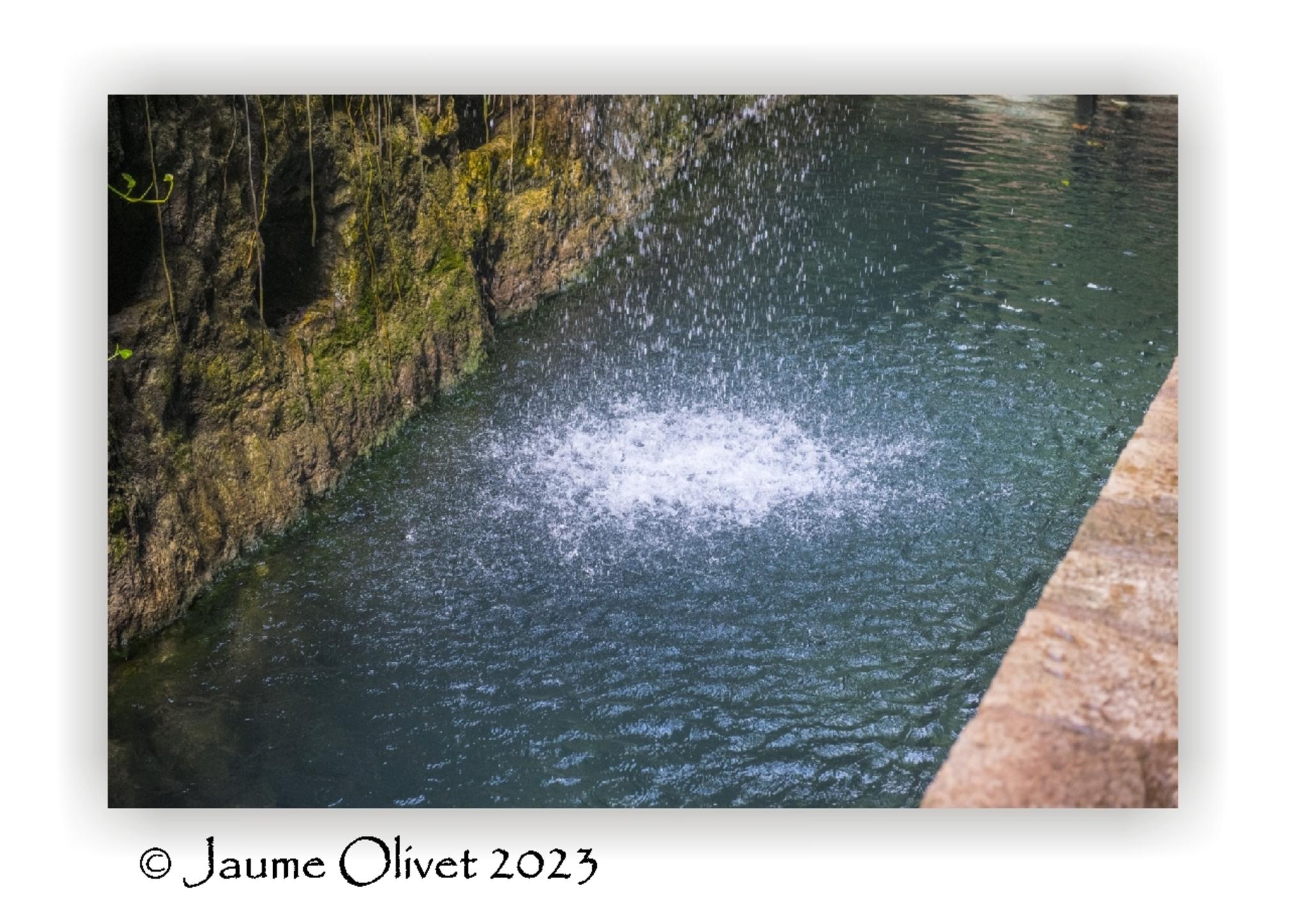  Jaume Olivet 2023