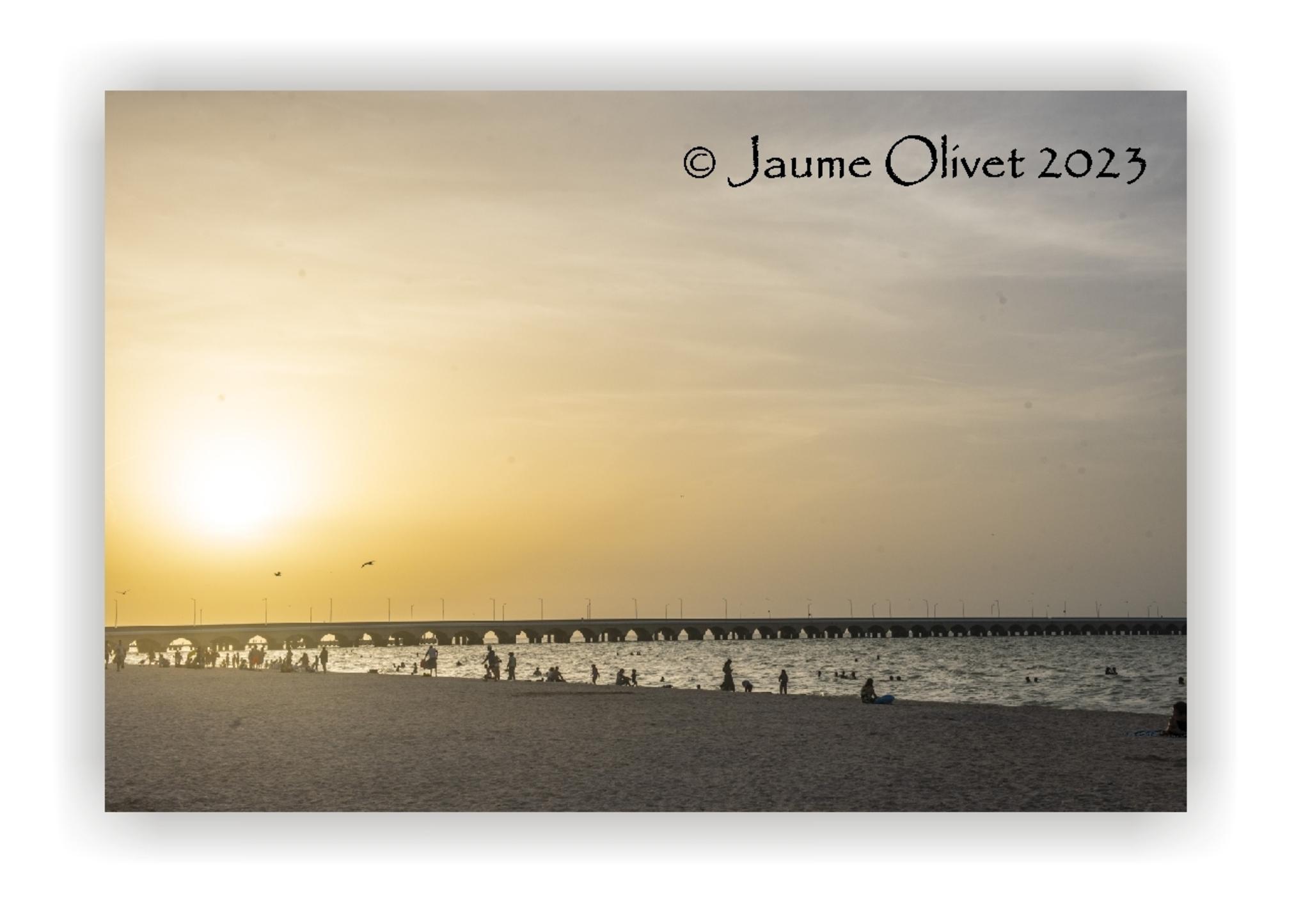  Jaume Olivet 2023