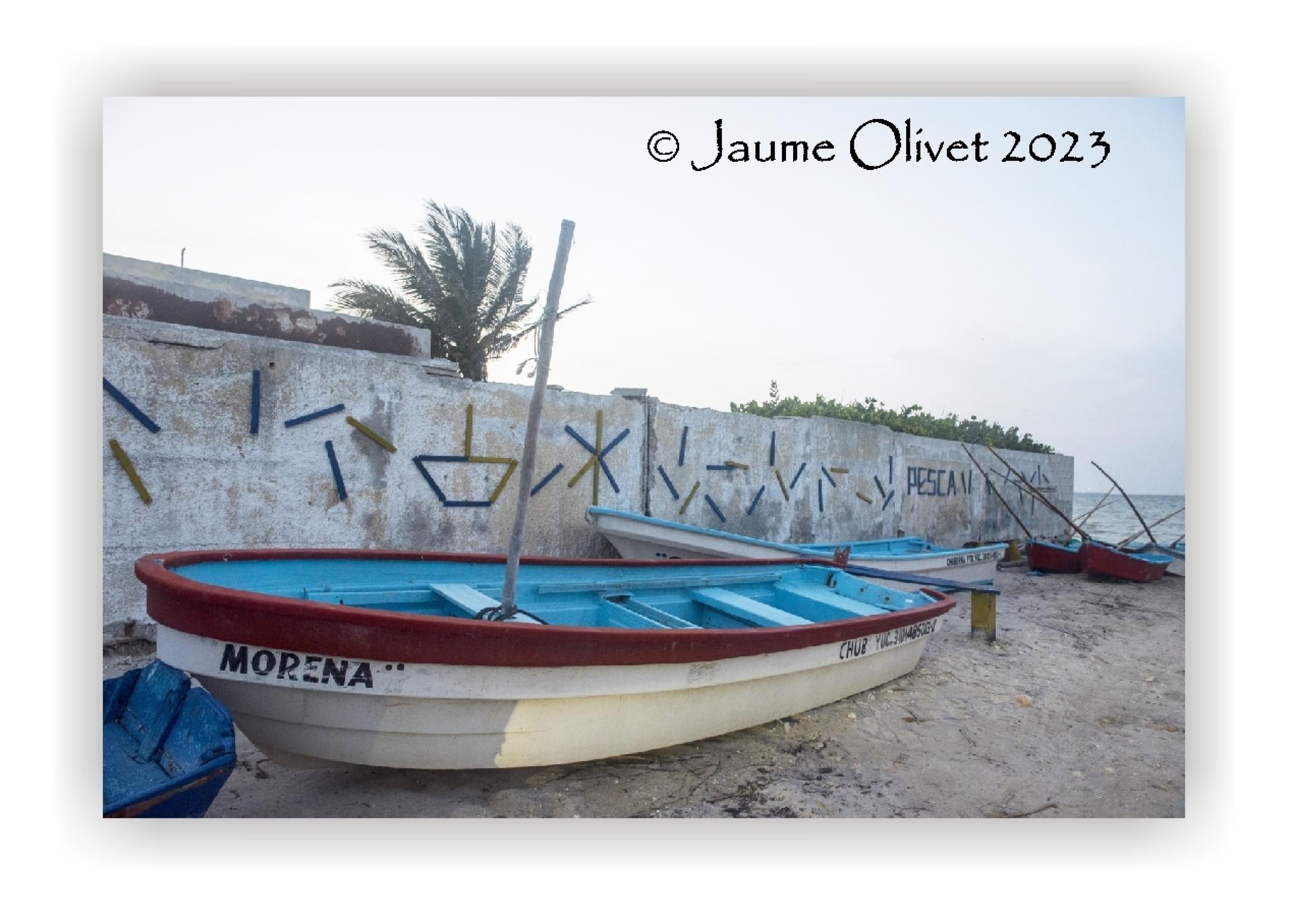  Jaume Olivet 2023