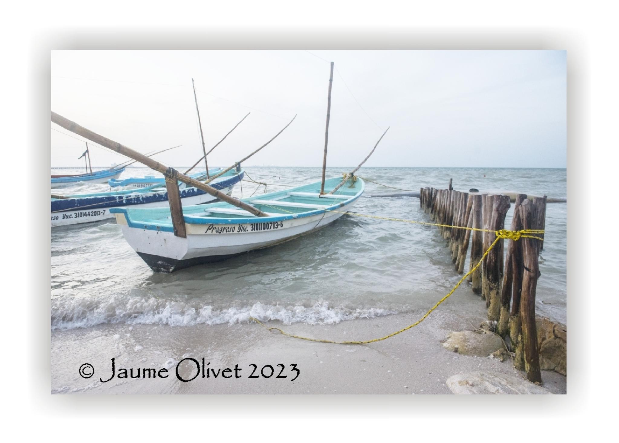  Jaume Olivet 2023