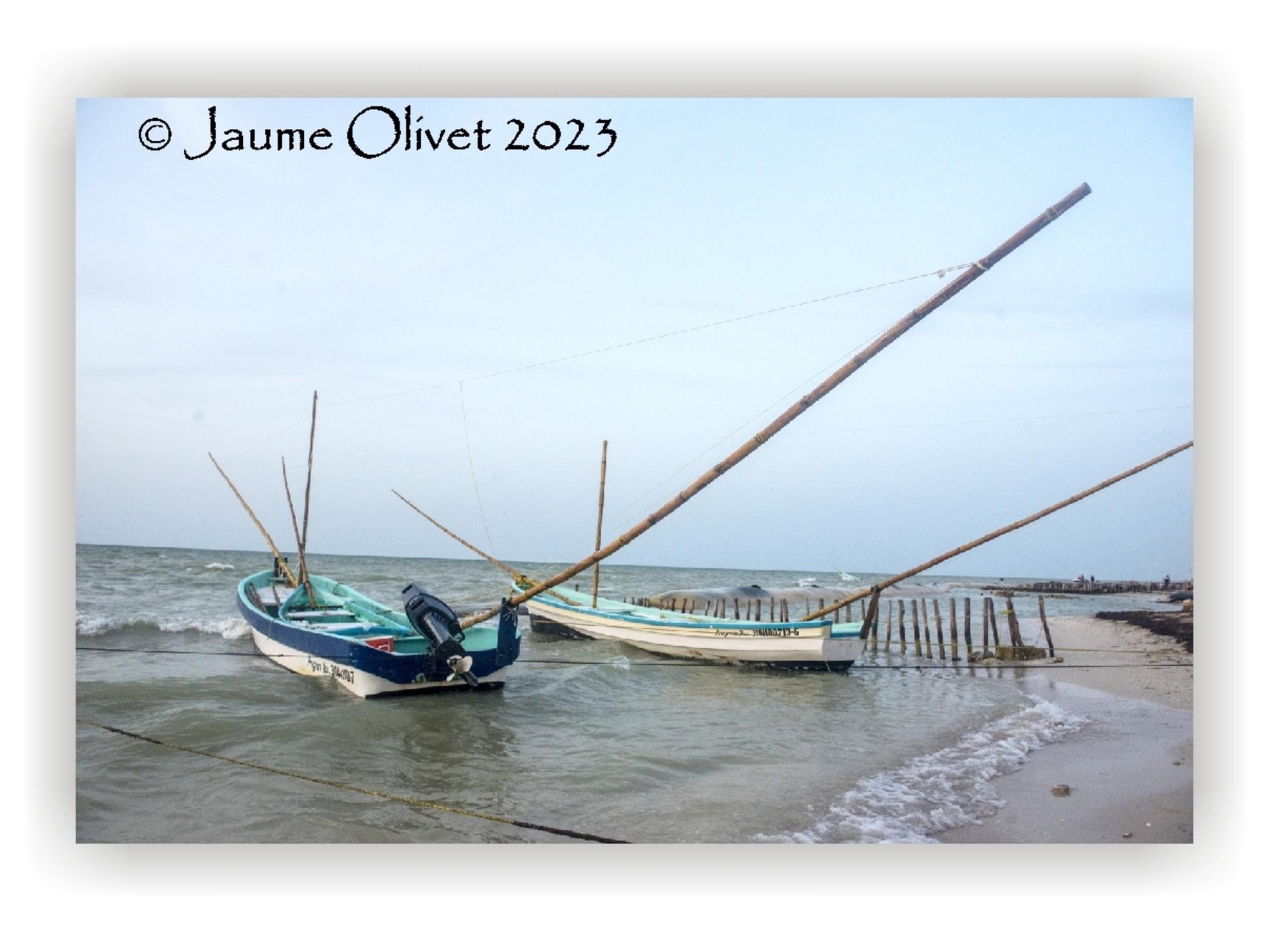  Jaume Olivet 2023