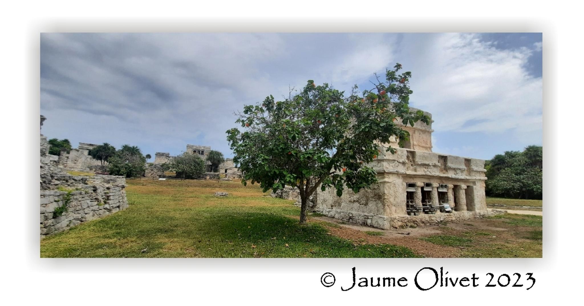  Jaume Olivet 2023