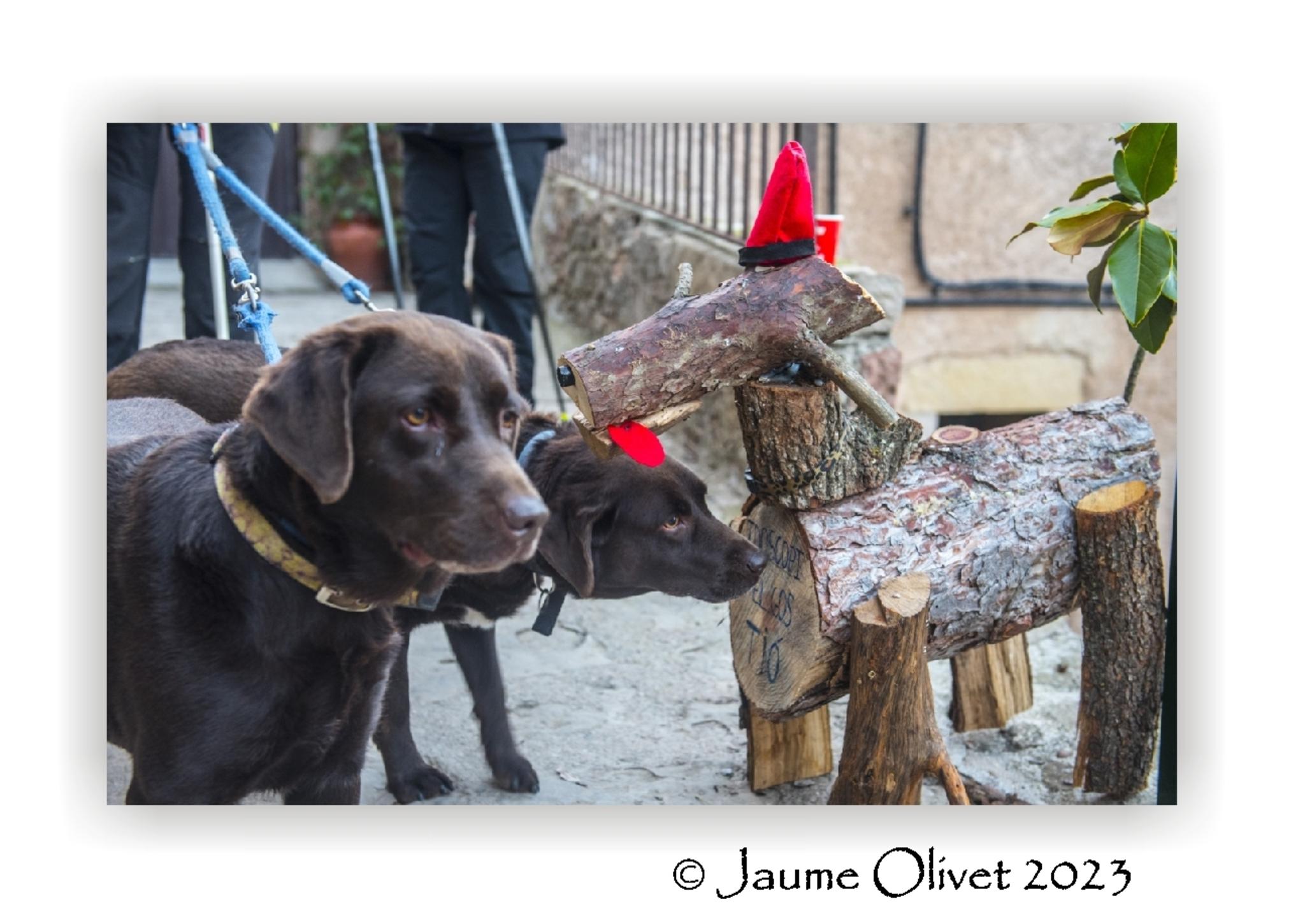  Jaume Olivet 2023