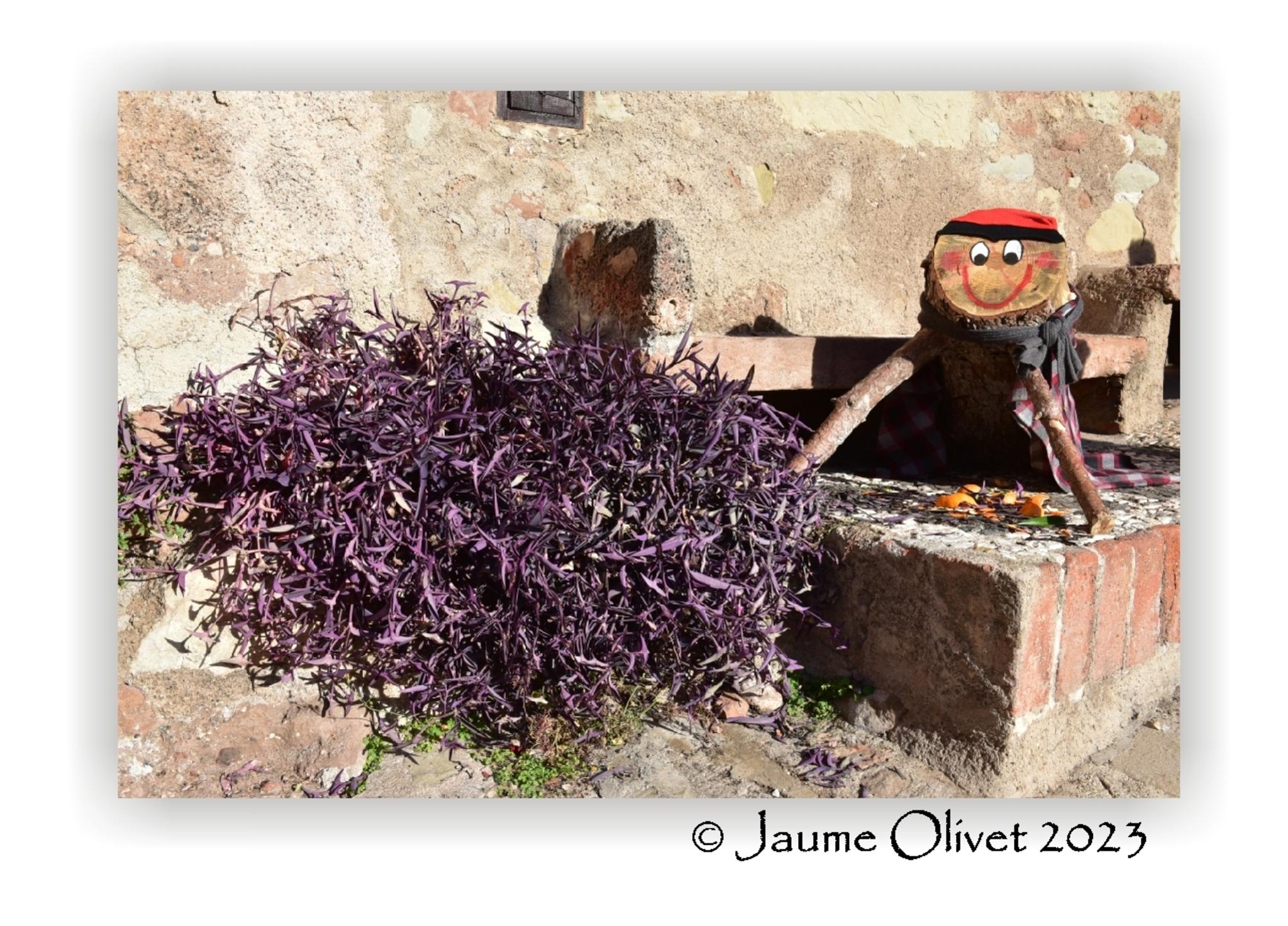  Jaume Olivet 2023