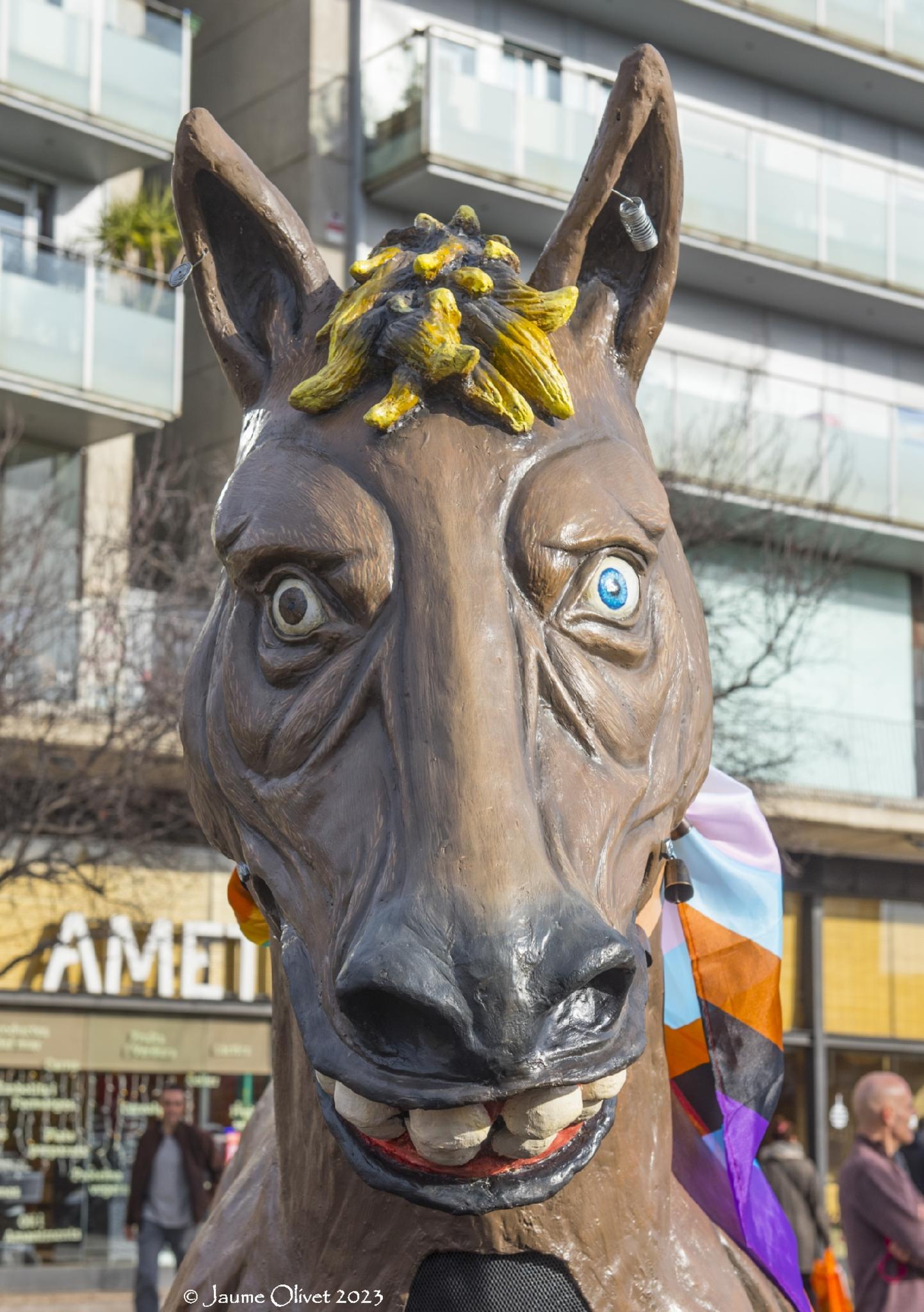  Jaume Olivet 2023