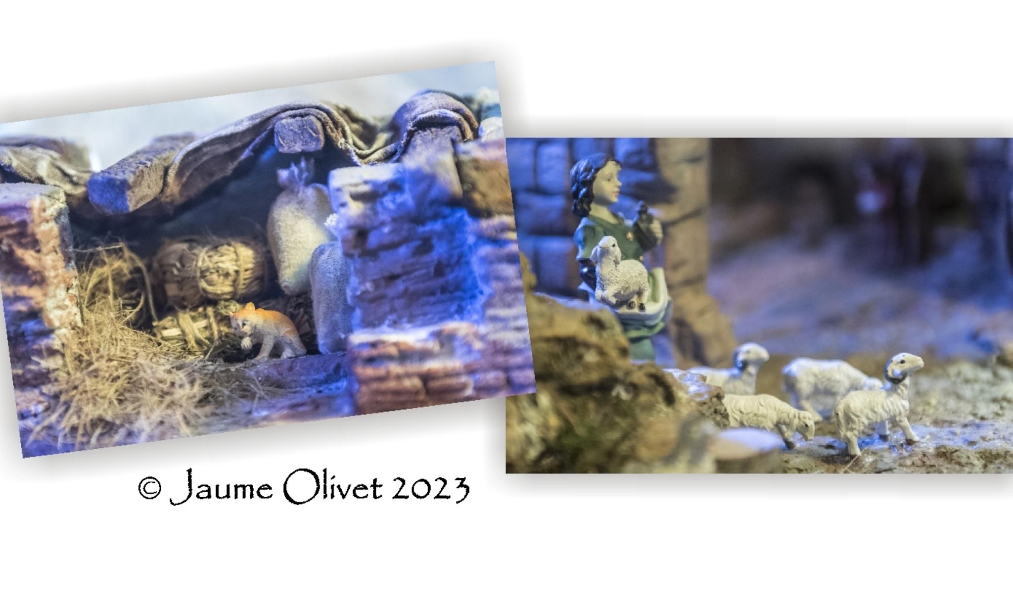  Jaume Olivet 2023