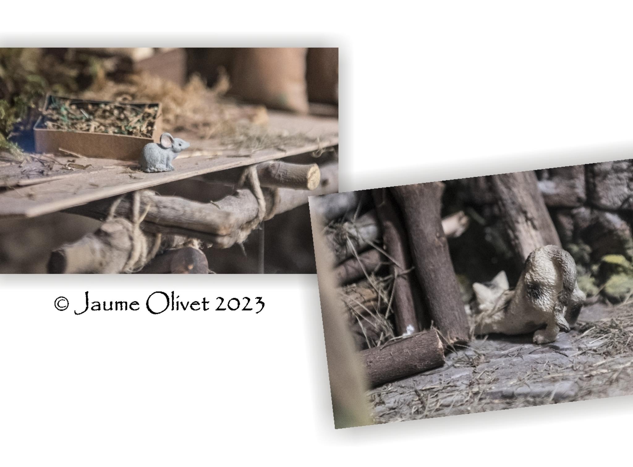  Jaume Olivet 2023