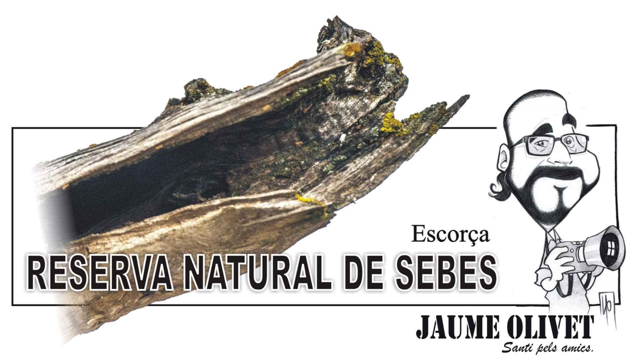  Jaume Olivet 2023