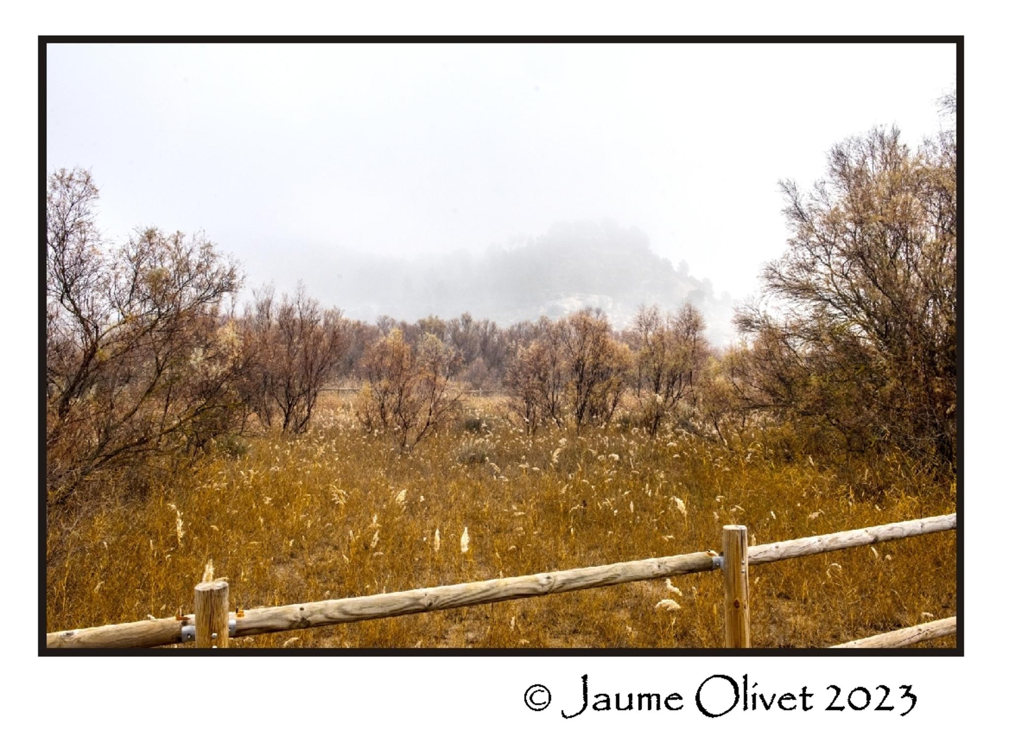  Jaume Olivet 2023